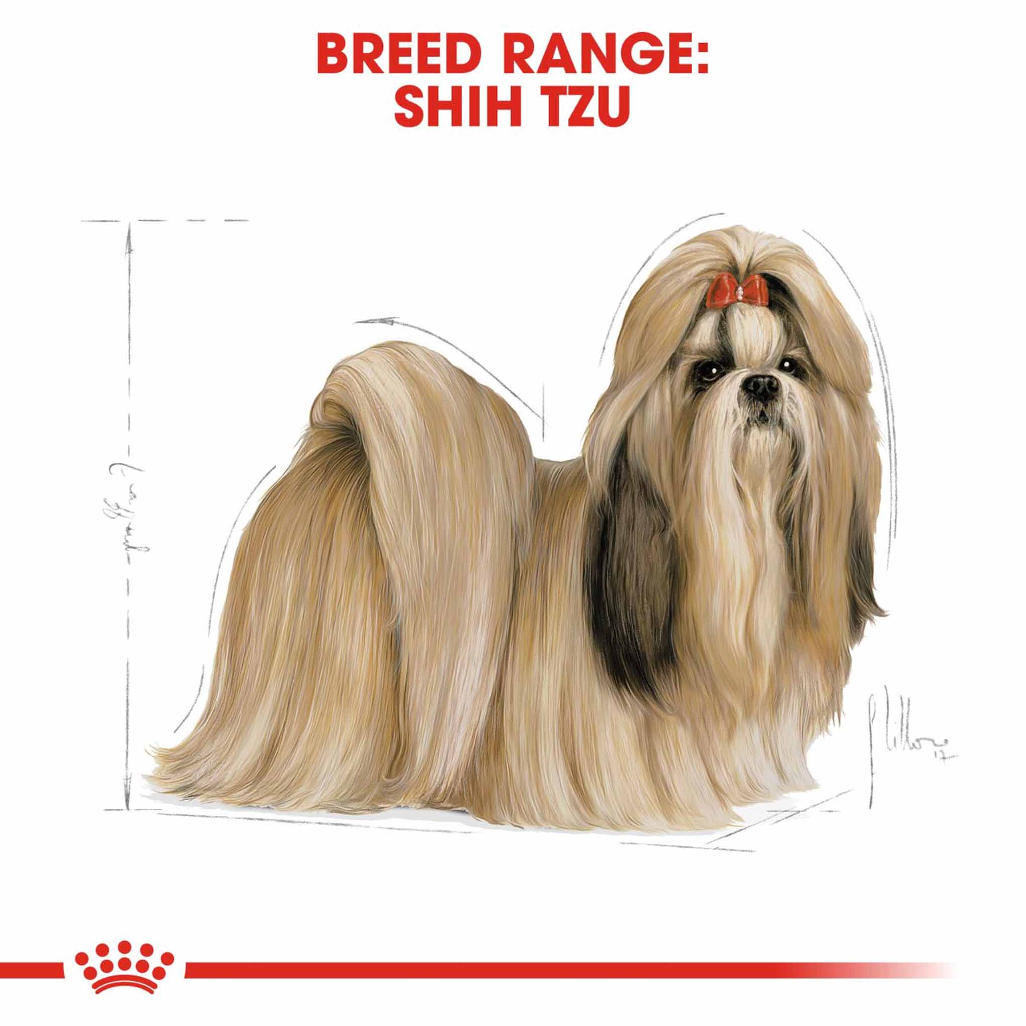 Royal Canin Breed Health Nutrition Shih Tzu Adult Dry Dog Food - Image 3