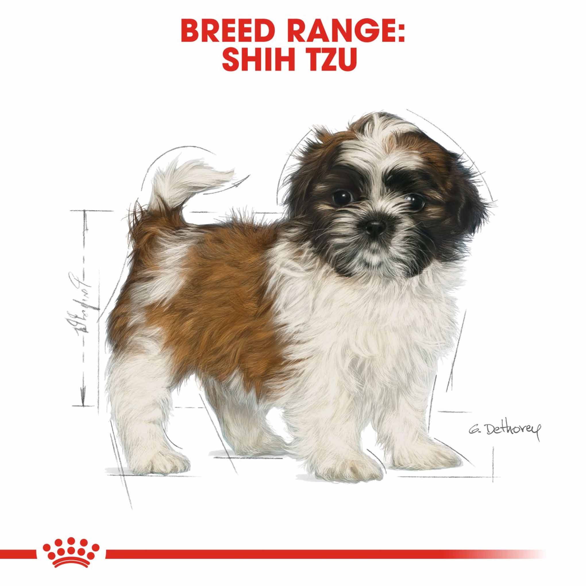 Royal Canin Breed Health Nutrition Shih Tzu Puppy Dry Dog Food - Image 6