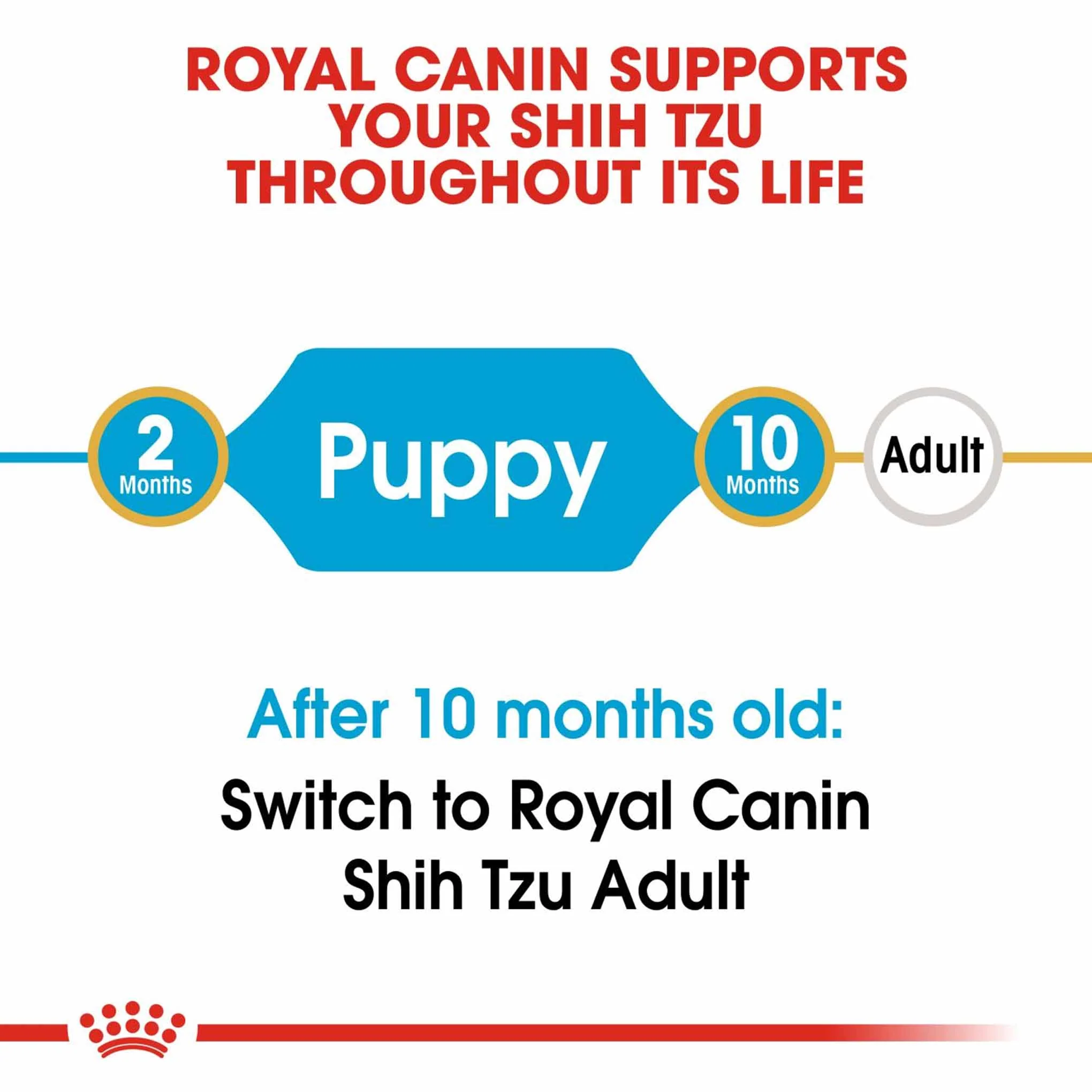 Royal Canin Breed Health Nutrition Shih Tzu Puppy Dry Dog Food - Image 9