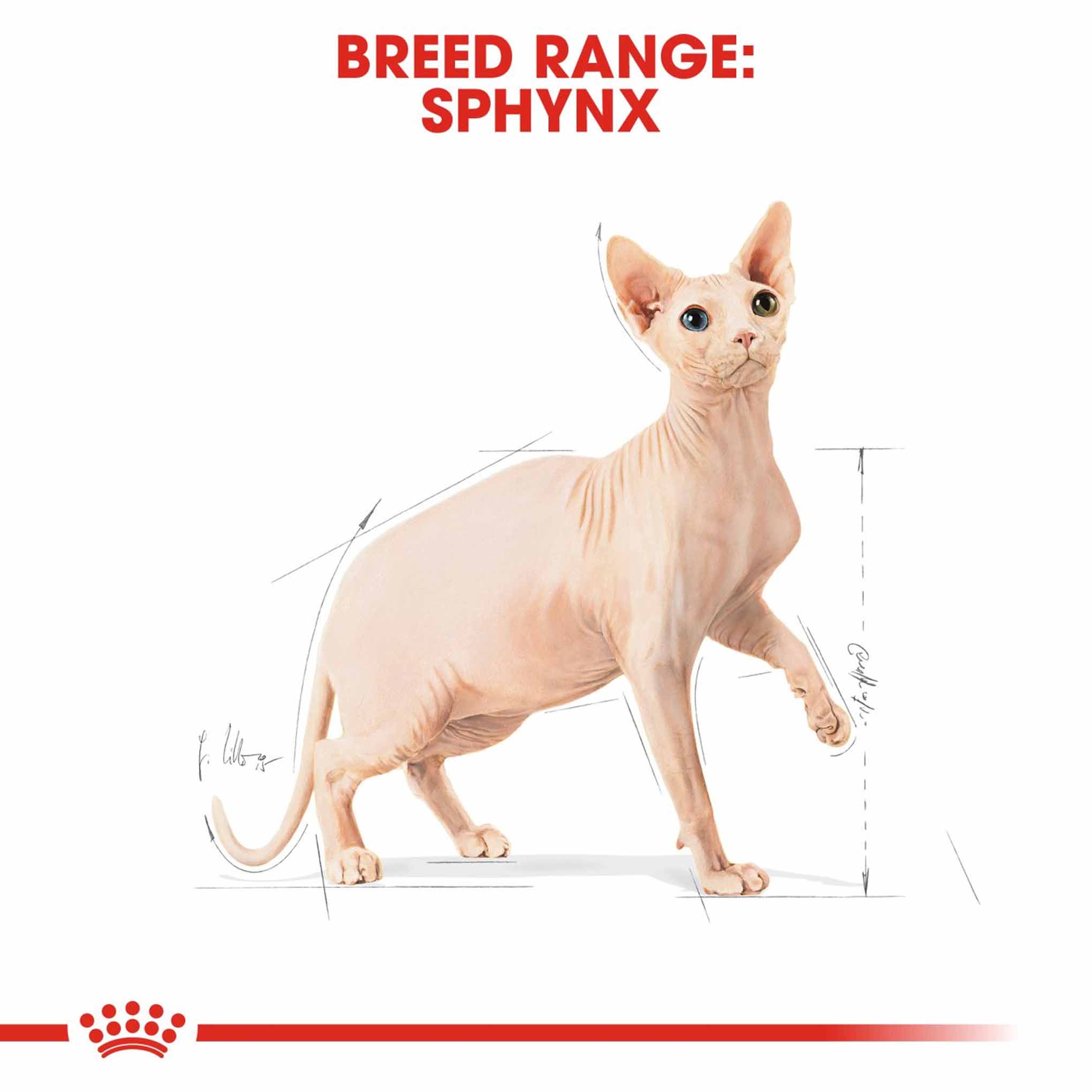 ROYAL CANIN Breed Health Nutrition Sphynx Adult Dry Cat Food - Image 3