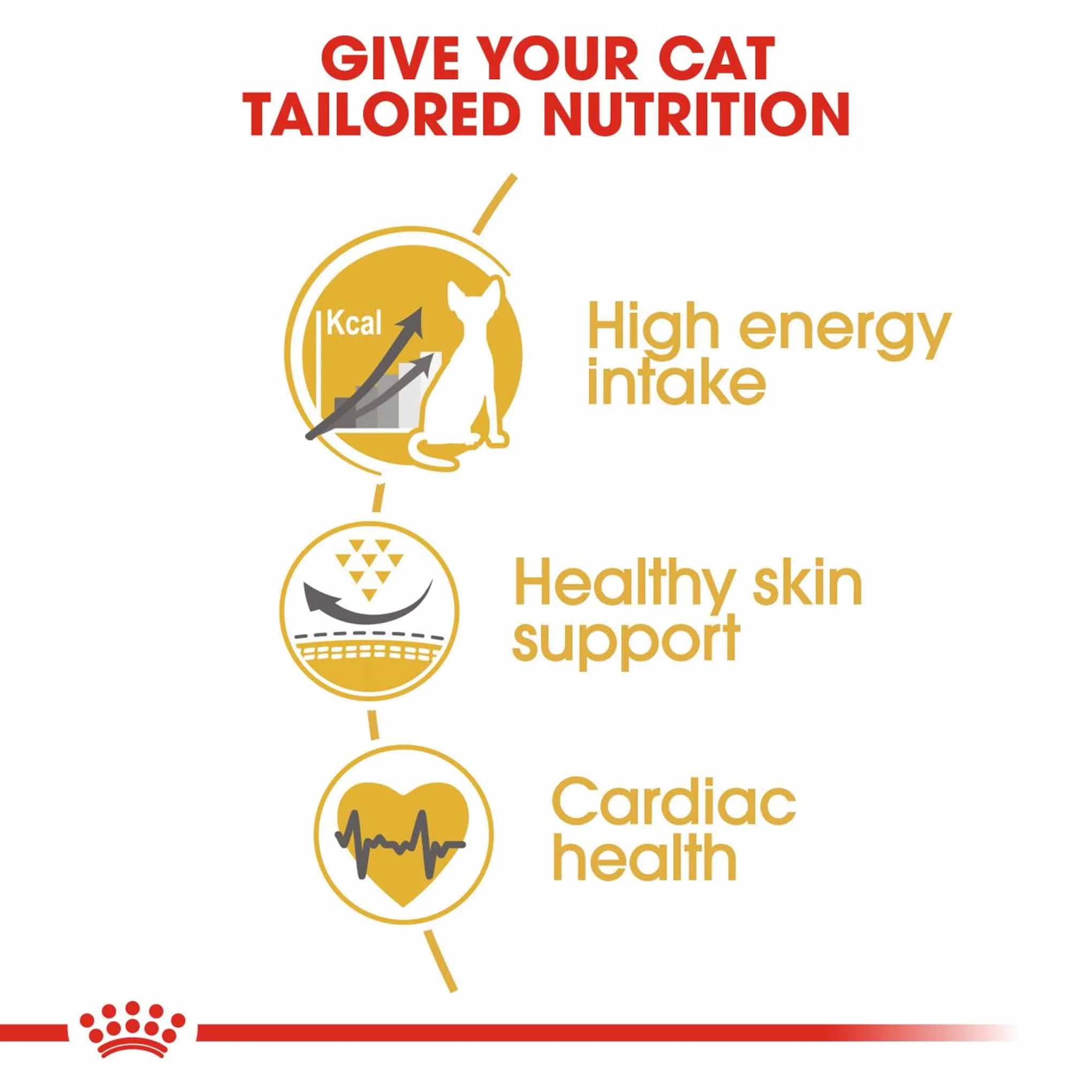 ROYAL CANIN Breed Health Nutrition Sphynx Adult Dry Cat Food - Image 4