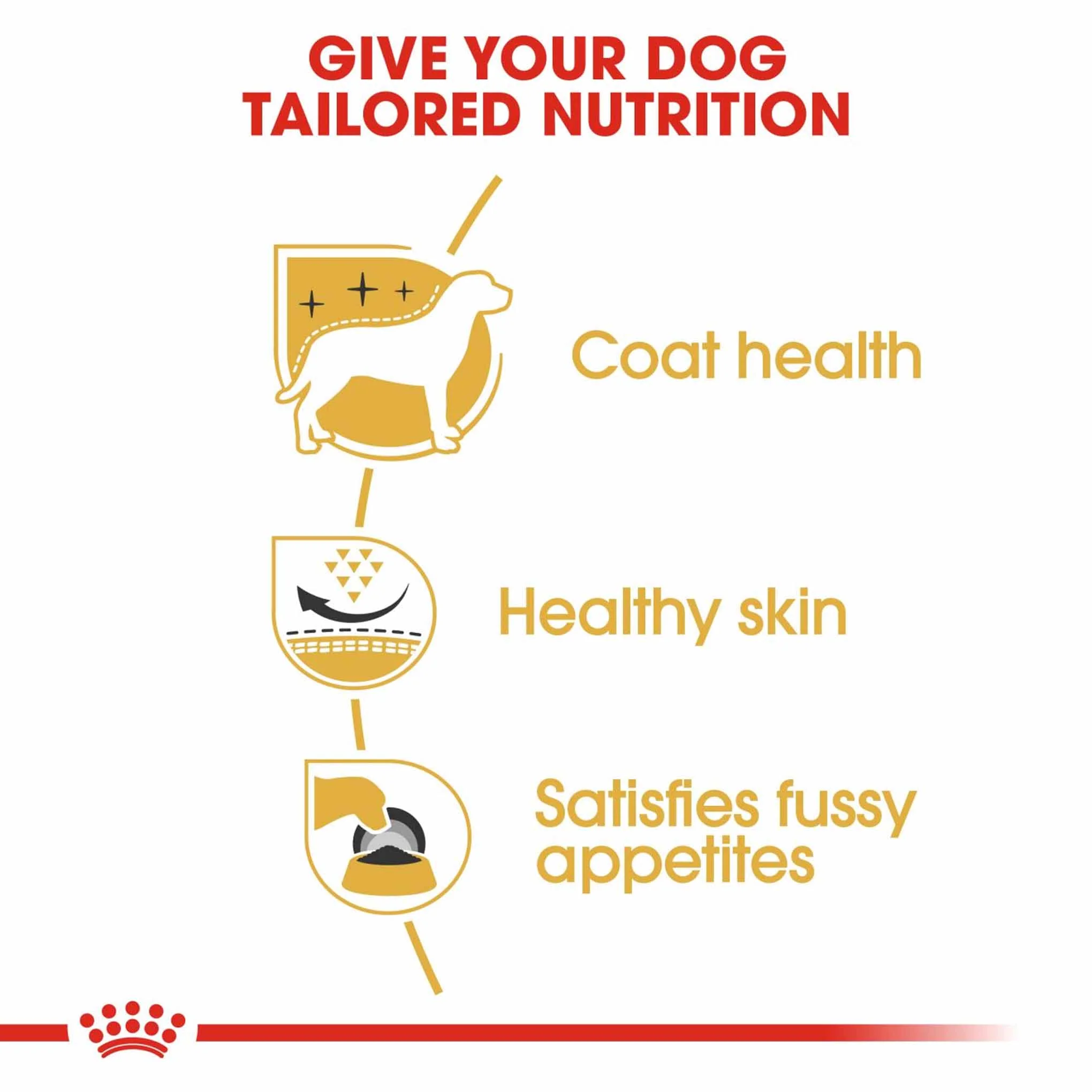 Royal Canin Breed Health Nutrition West Highland Terrier Adult Dry Dog Food - Image 5