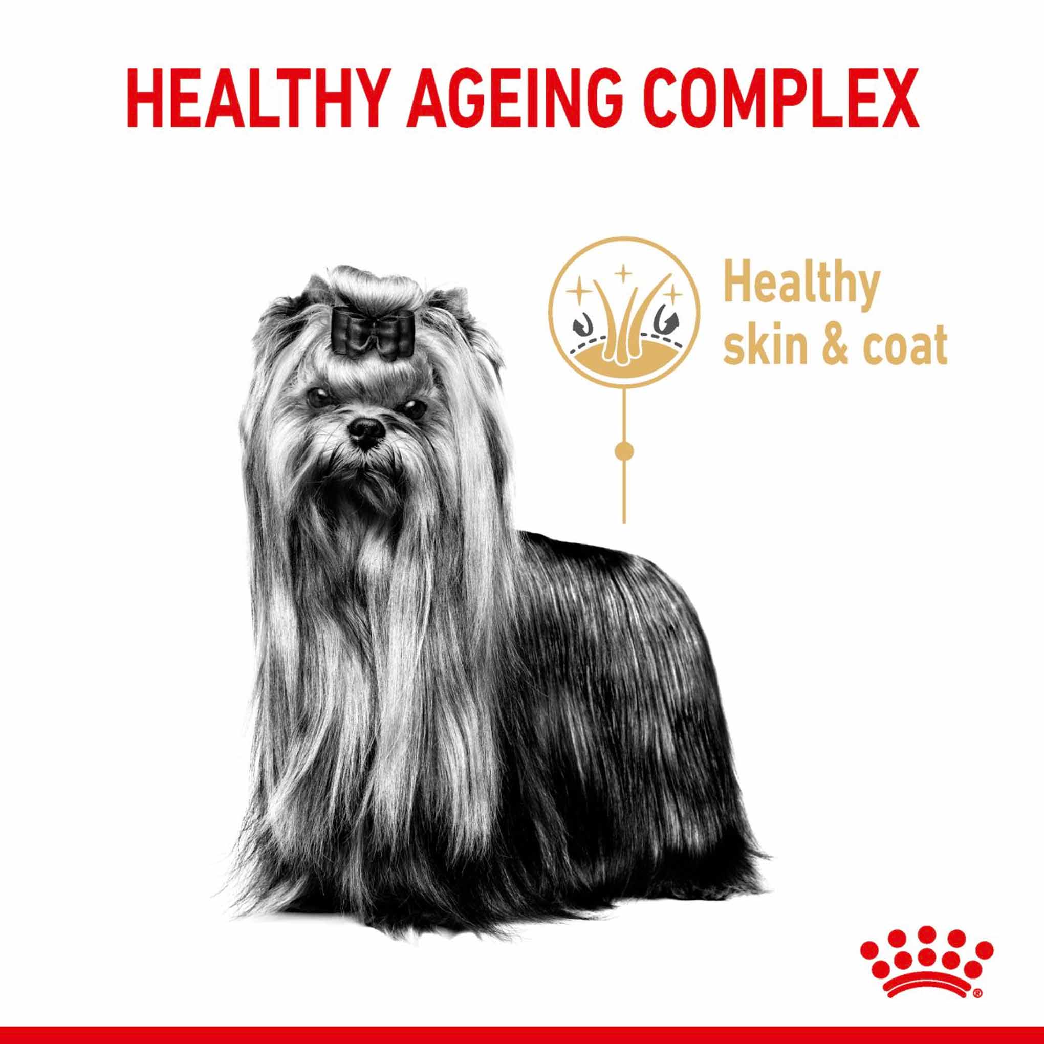 Royal Canin Breed Health Nutrition Yorkshire Terrier Adult 8+ Adult Dry Dog Food - Image 3