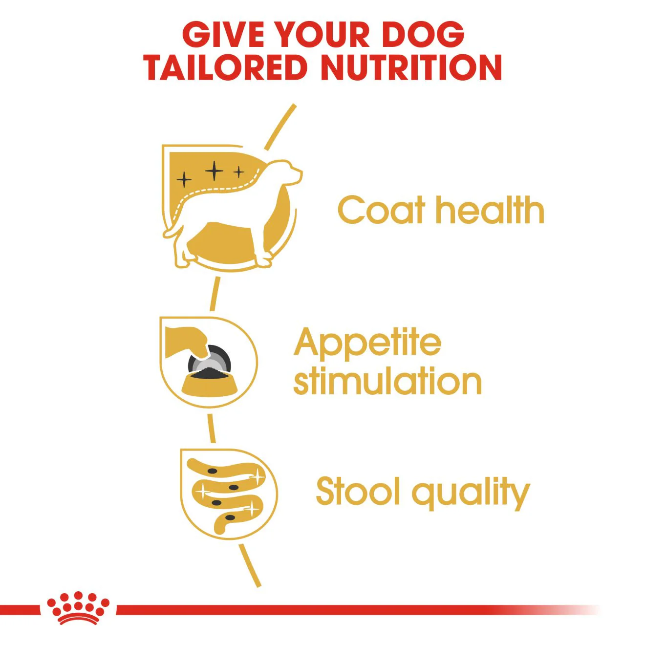 Royal Canin Breed Health Nutrition Yorkshire Terrier Adult Wet Dog Food -12x85g Pouches - Image 2