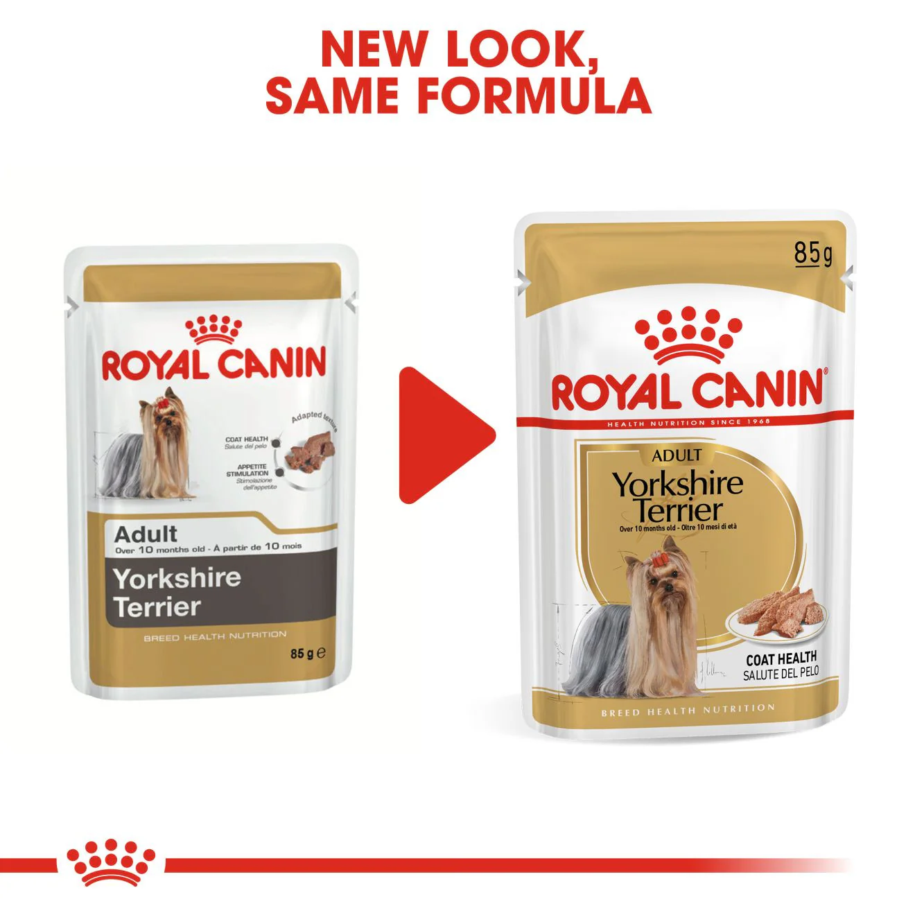 Royal Canin Breed Health Nutrition Yorkshire Terrier Adult Wet Dog Food -12x85g Pouches - Image 4