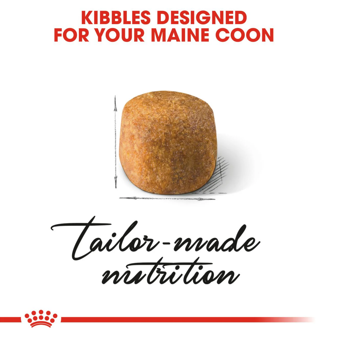 Royal Canin Breed Nutrition Maine Coon Adult Dry Cat Food - Image 4
