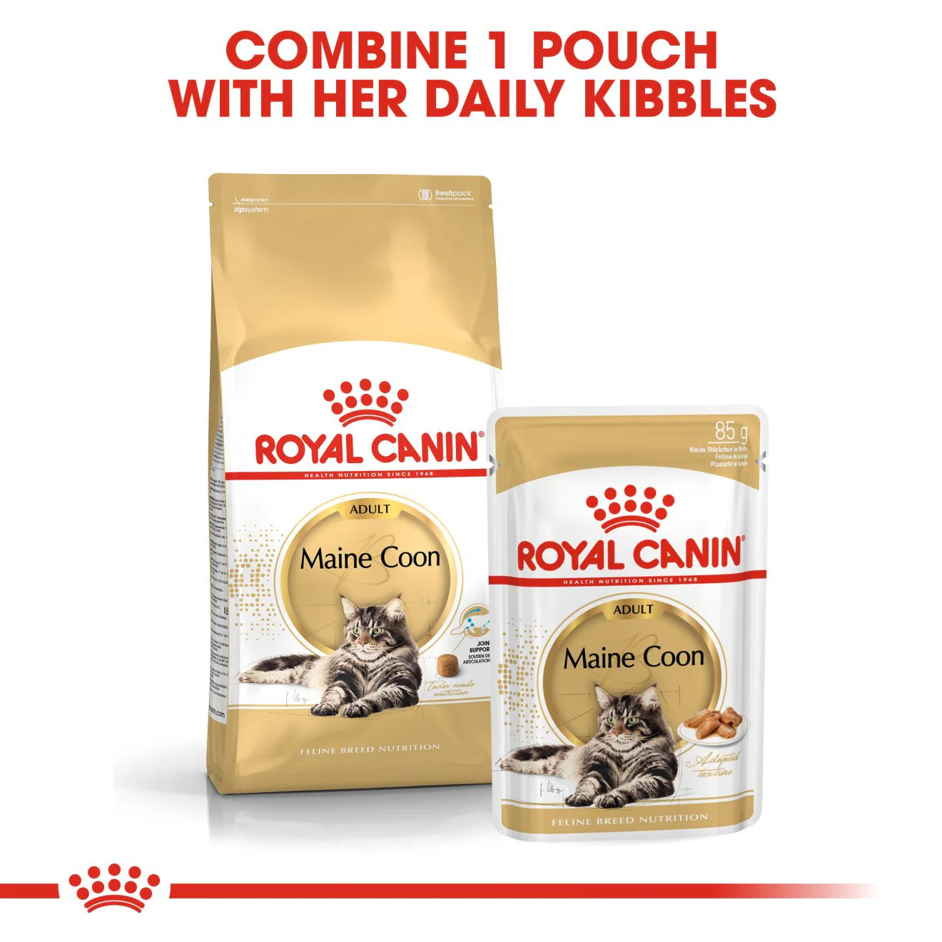 Royal Canin Breed Nutrition Maine Coon Adult Dry Cat Food - Image 6
