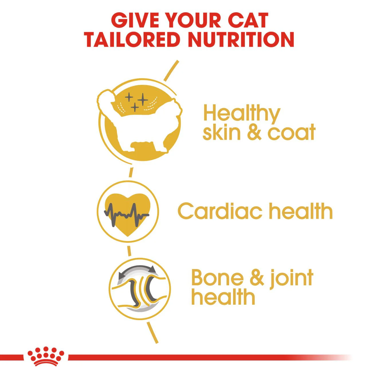 Royal Canin Breed Nutrition Ragdoll Adult Dry Cat Food - Image 5