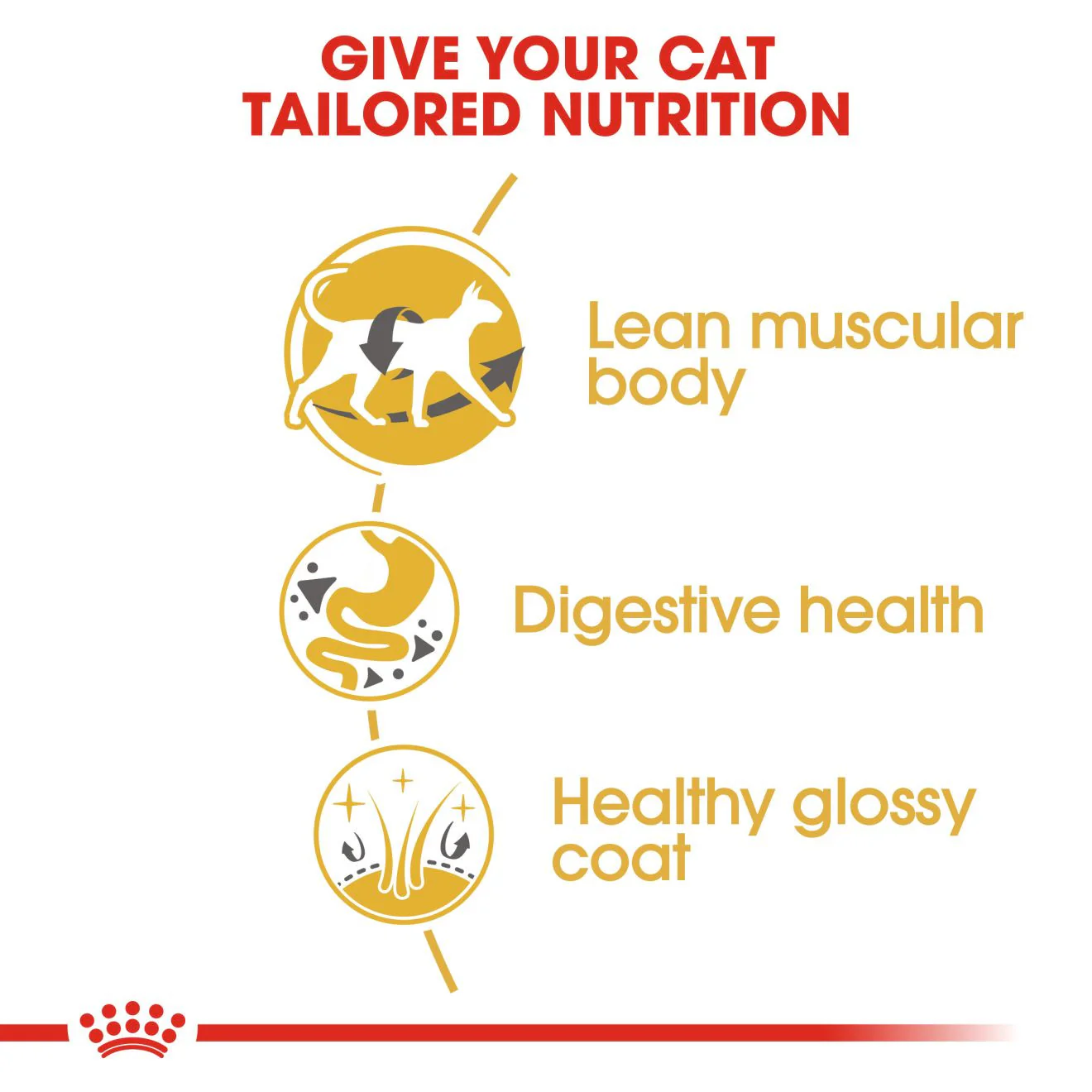 ROYAL CANIN Breed Nutrition Siamese Adult Dry Cat Food - Image 5
