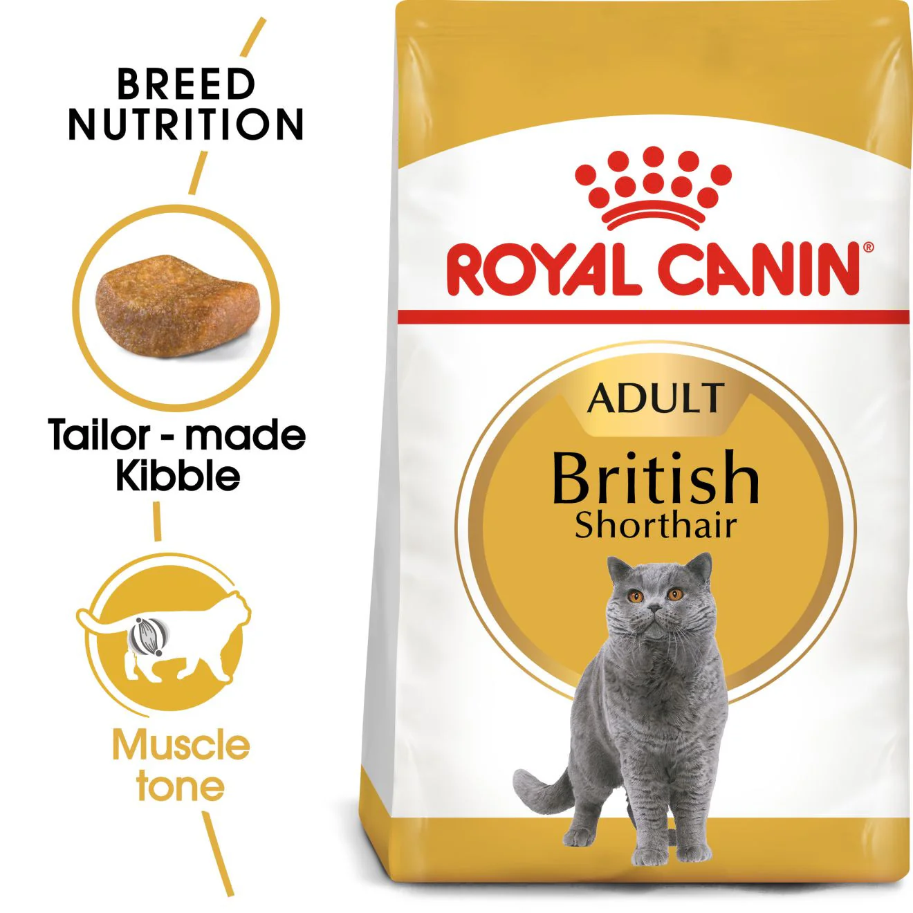 ROYAL CANIN British Shorthair Dry Adult Cat Food - Image 2