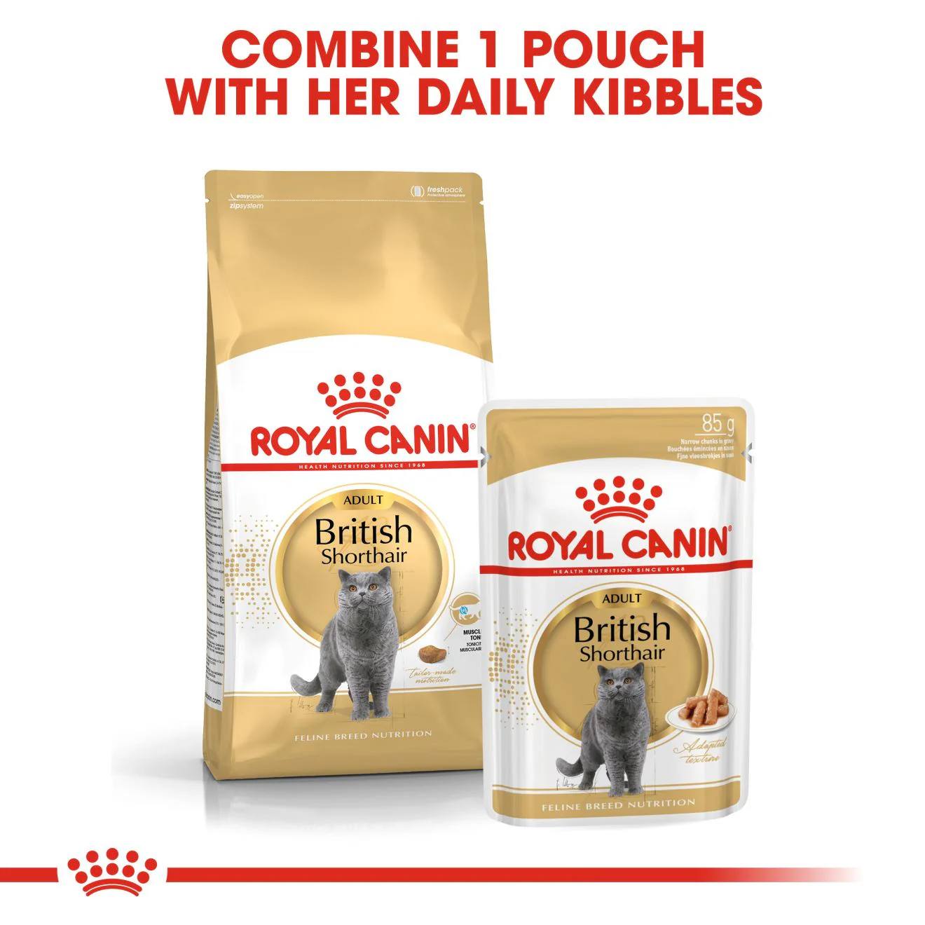 ROYAL CANIN British Shorthair Dry Adult Cat Food - Image 6