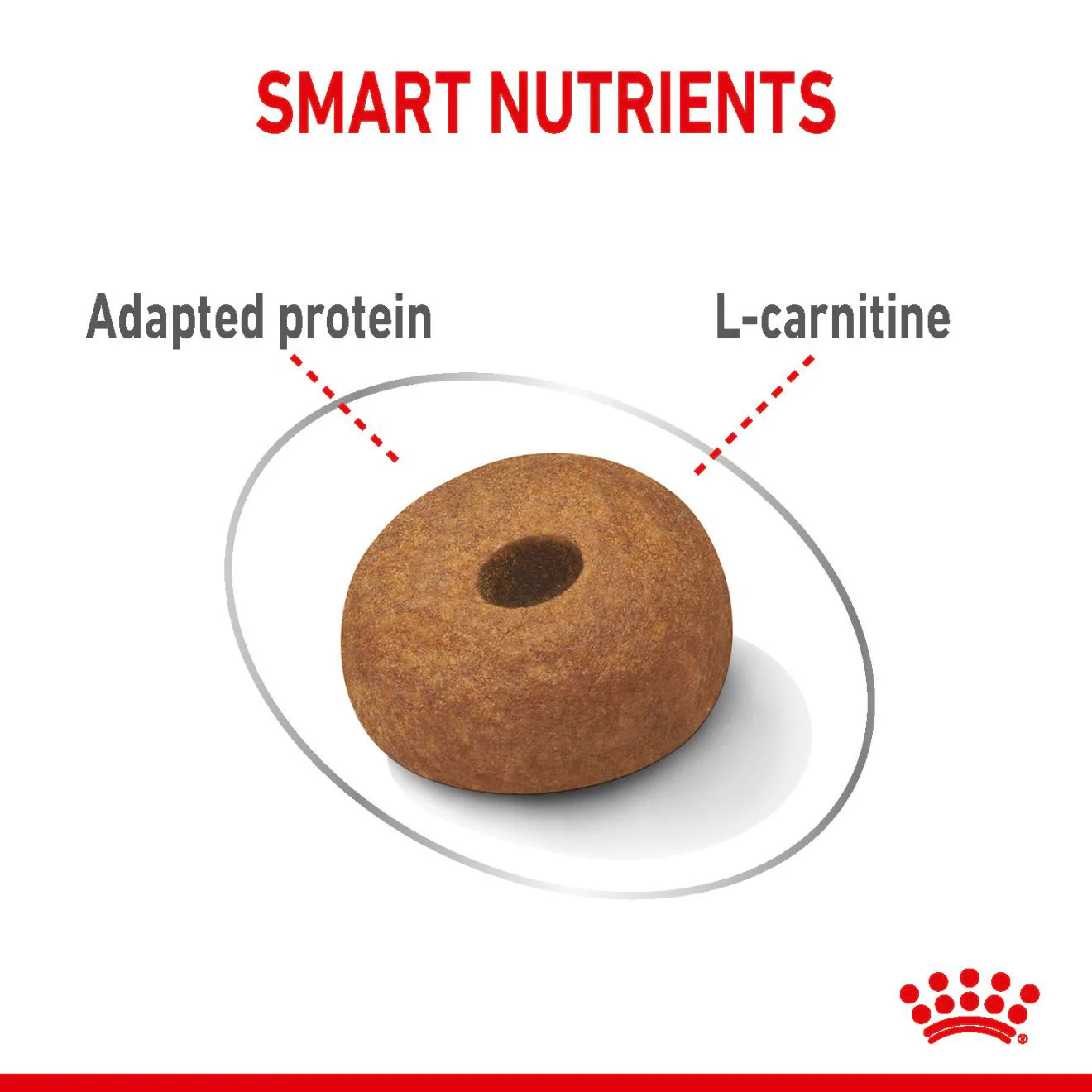 Royal Canin Canine Care Nutrition Maxi Light Weight Care Adult Dry Dog Food - Image 5