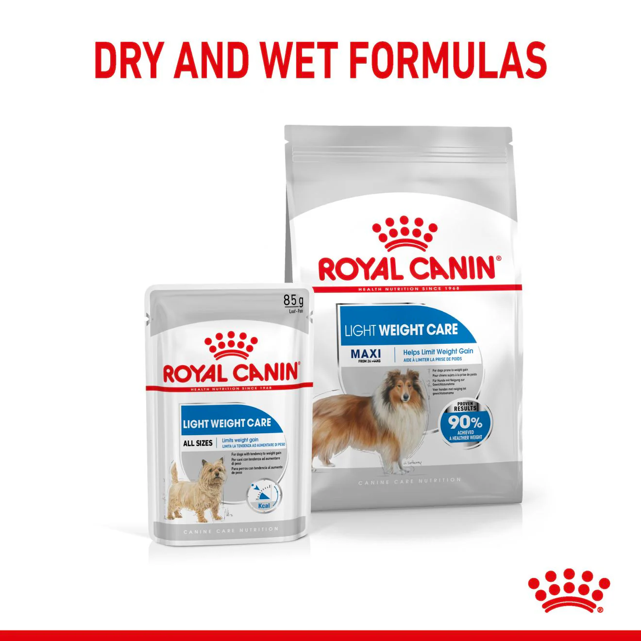 Royal Canin Canine Care Nutrition Maxi Light Weight Care Adult Dry Dog Food - Image 6