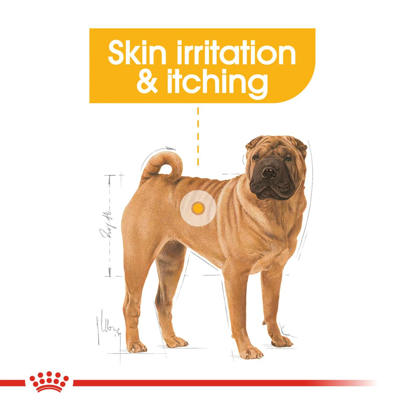 Royal Canin Canine Care Nutrition Medium Dermacomfort Adult Dry Dog Food - Image 3