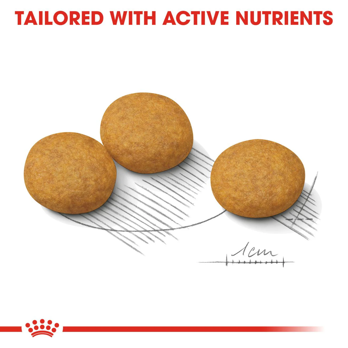 Royal Canin Canine Care Nutrition Medium Dermacomfort Adult Dry Dog Food - Image 4