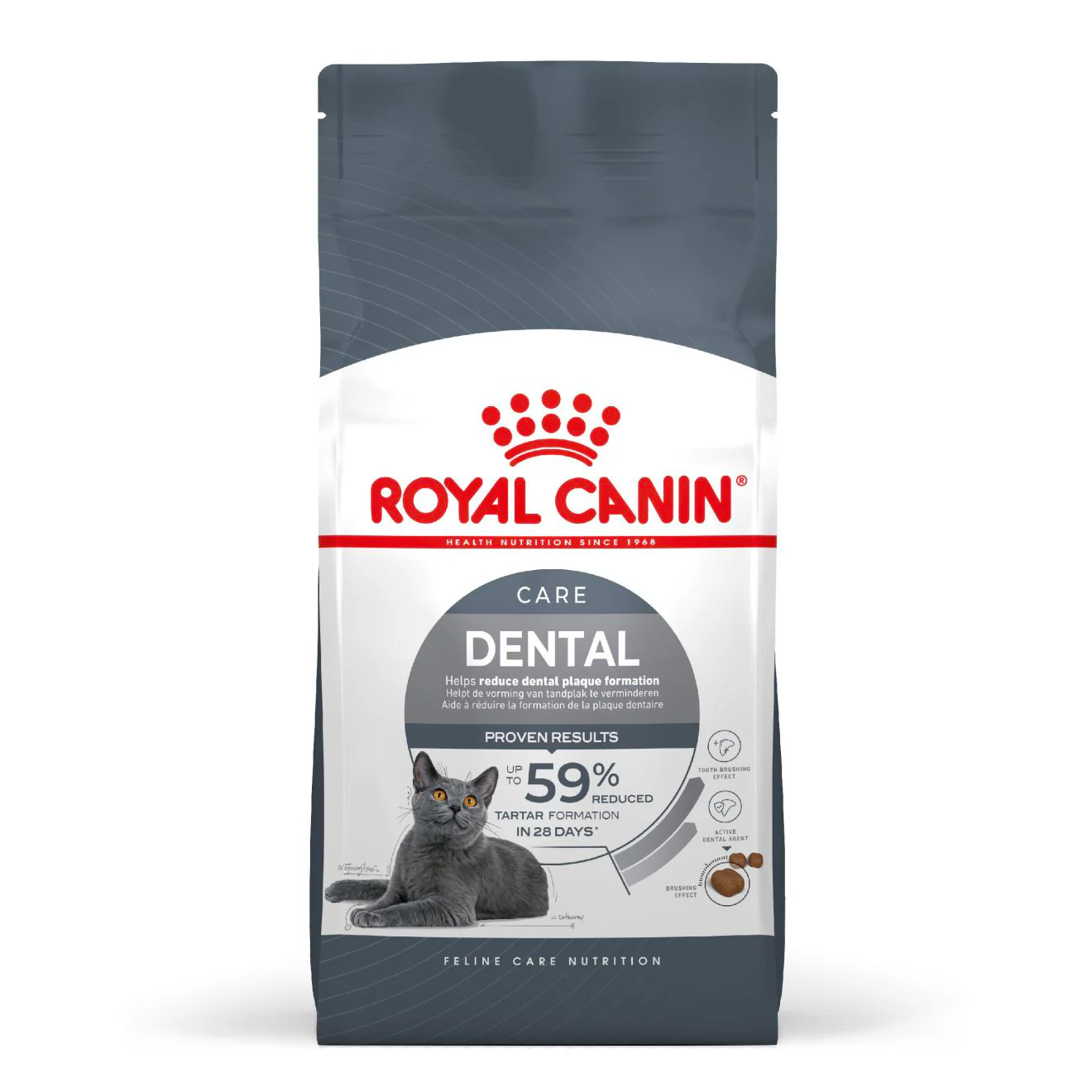 ROYAL CANIN Dental Care Adult Dry Cat Food - Image 2