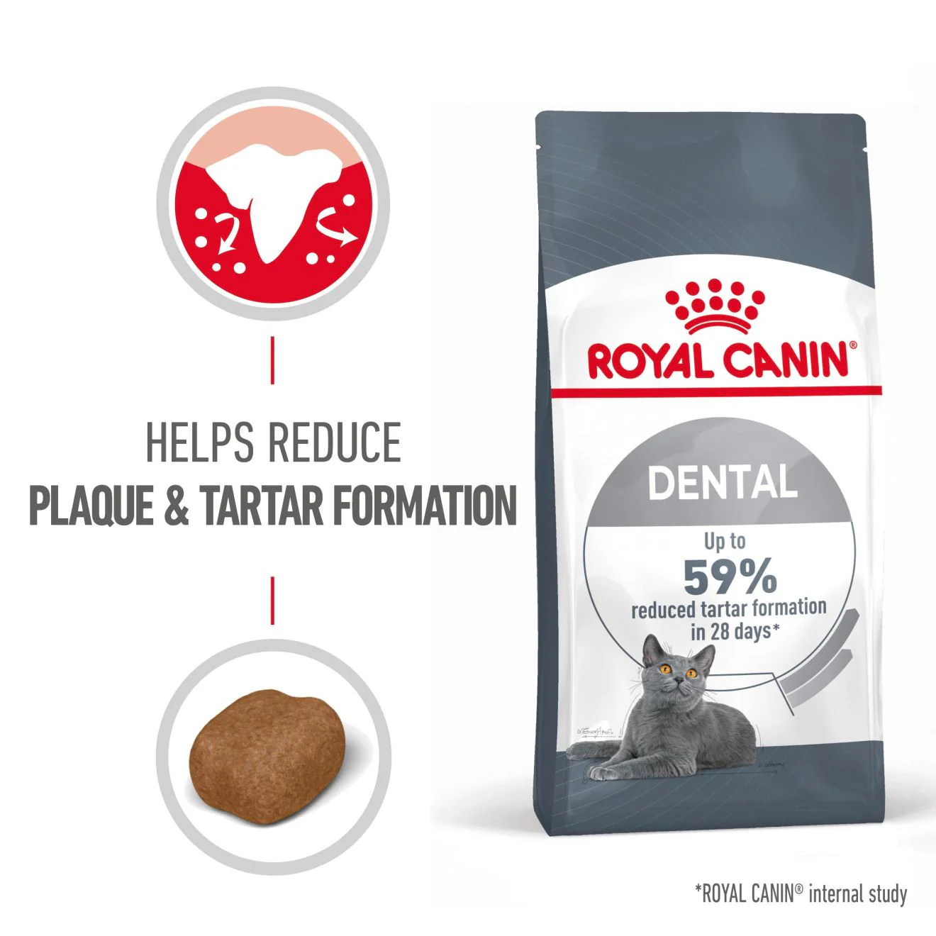 ROYAL CANIN Dental Care Adult Dry Cat Food - Image 3