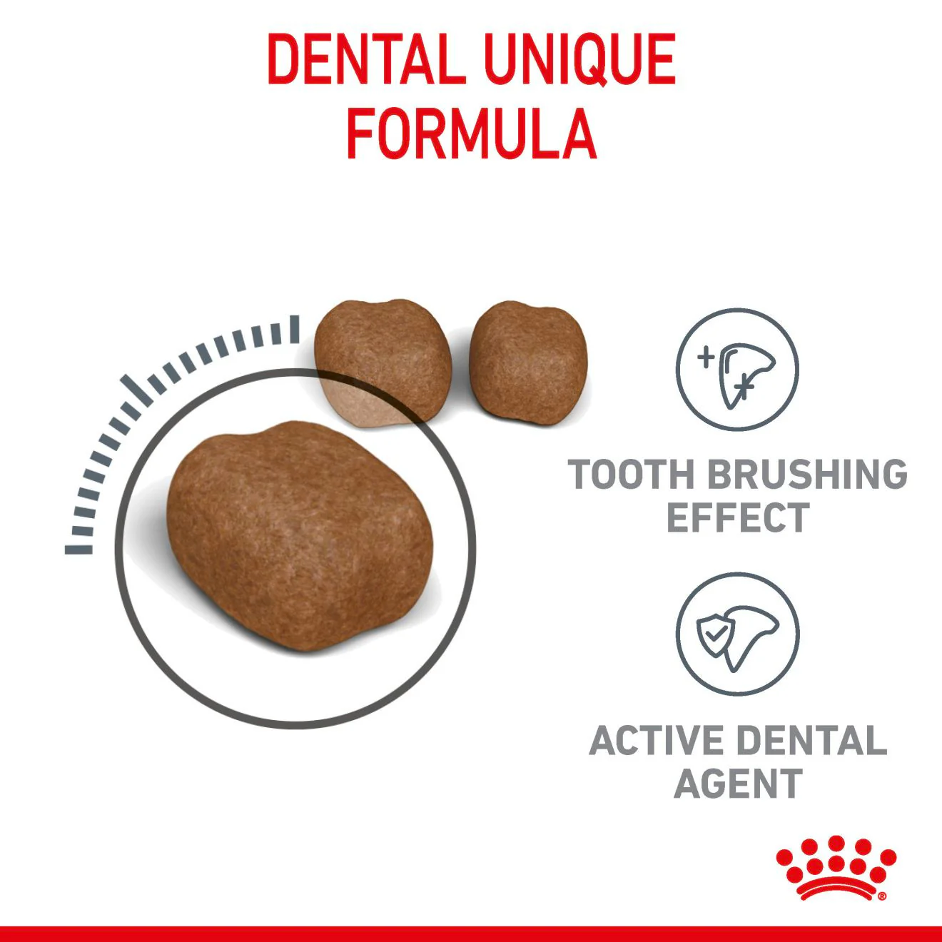 ROYAL CANIN Dental Care Adult Dry Cat Food - Image 4