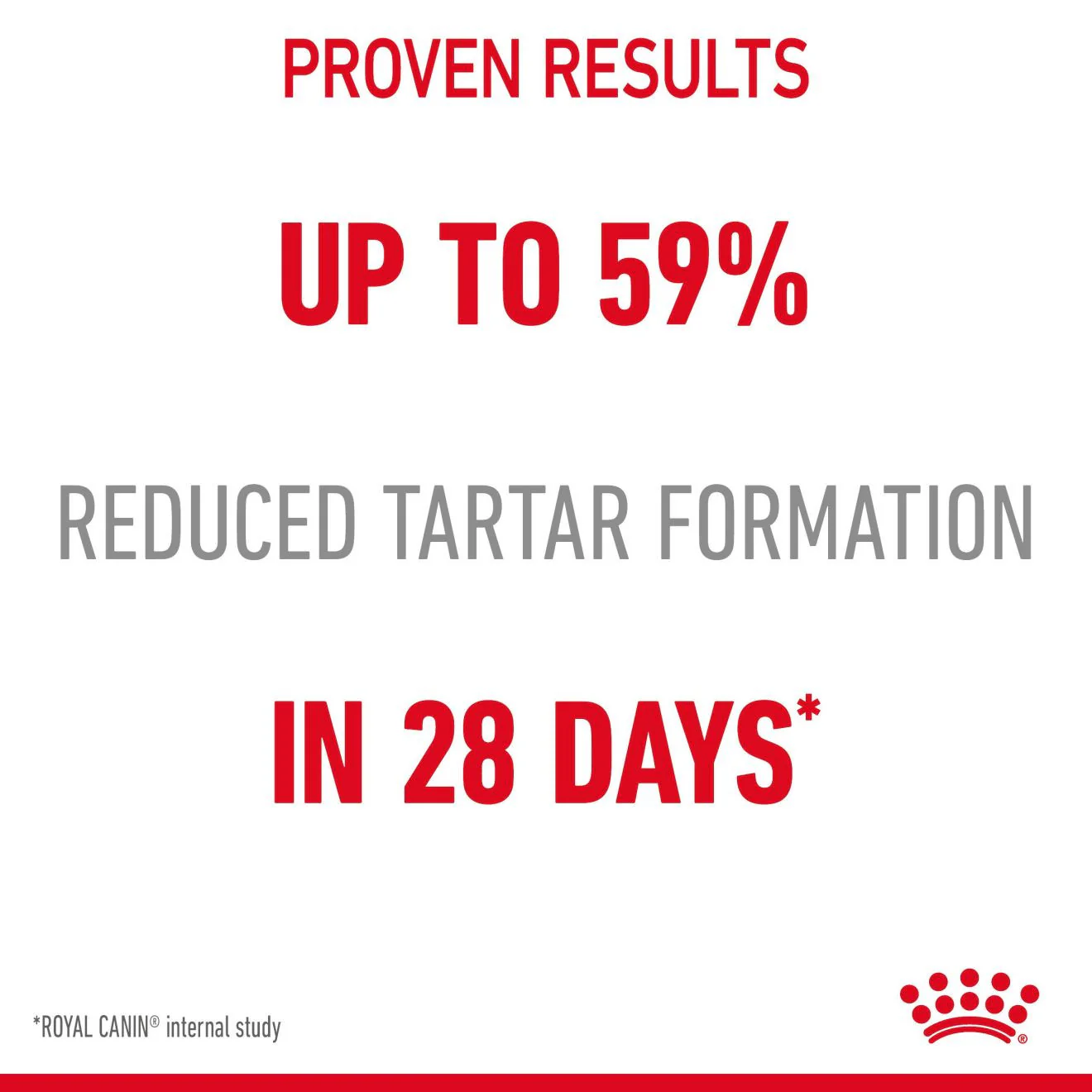 ROYAL CANIN Dental Care Adult Dry Cat Food - Image 6