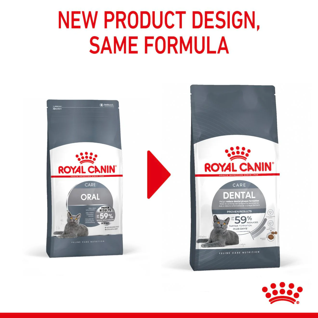 ROYAL CANIN Dental Care Adult Dry Cat Food - Image 7