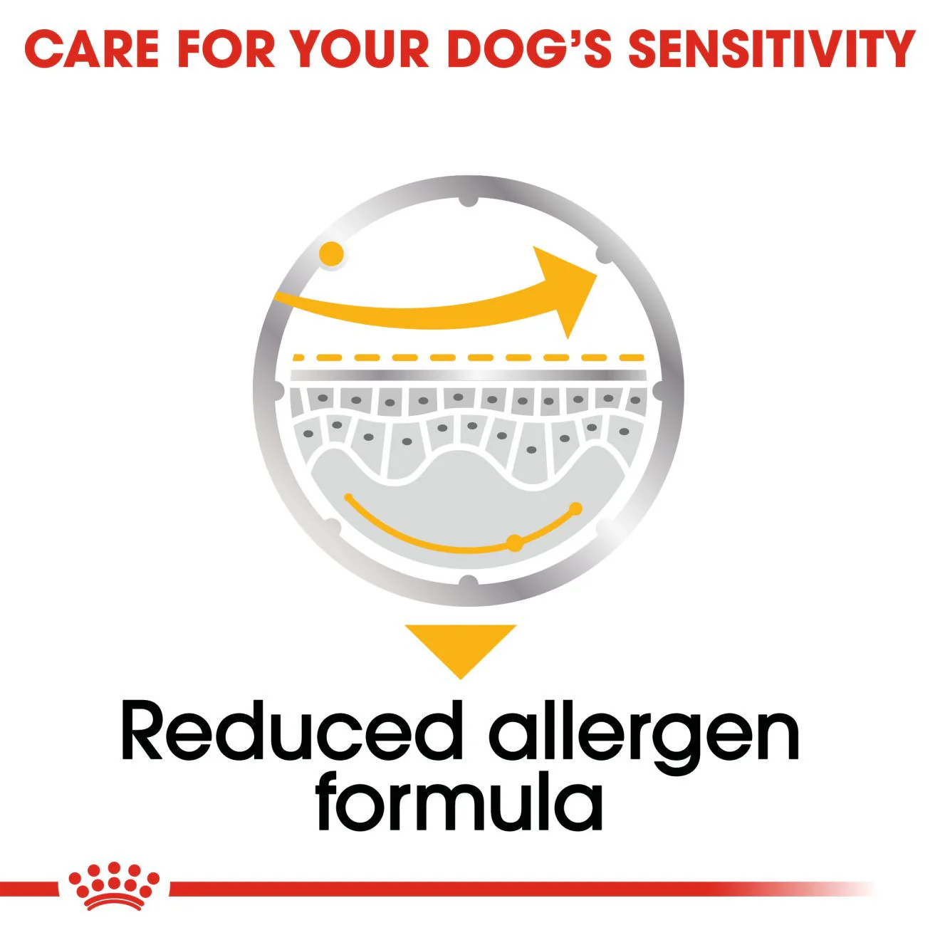 Royal Canin Dermacomfort Canine Care Adult Wet Dog Food in Loaf - 12x85g Pouches - Image 5