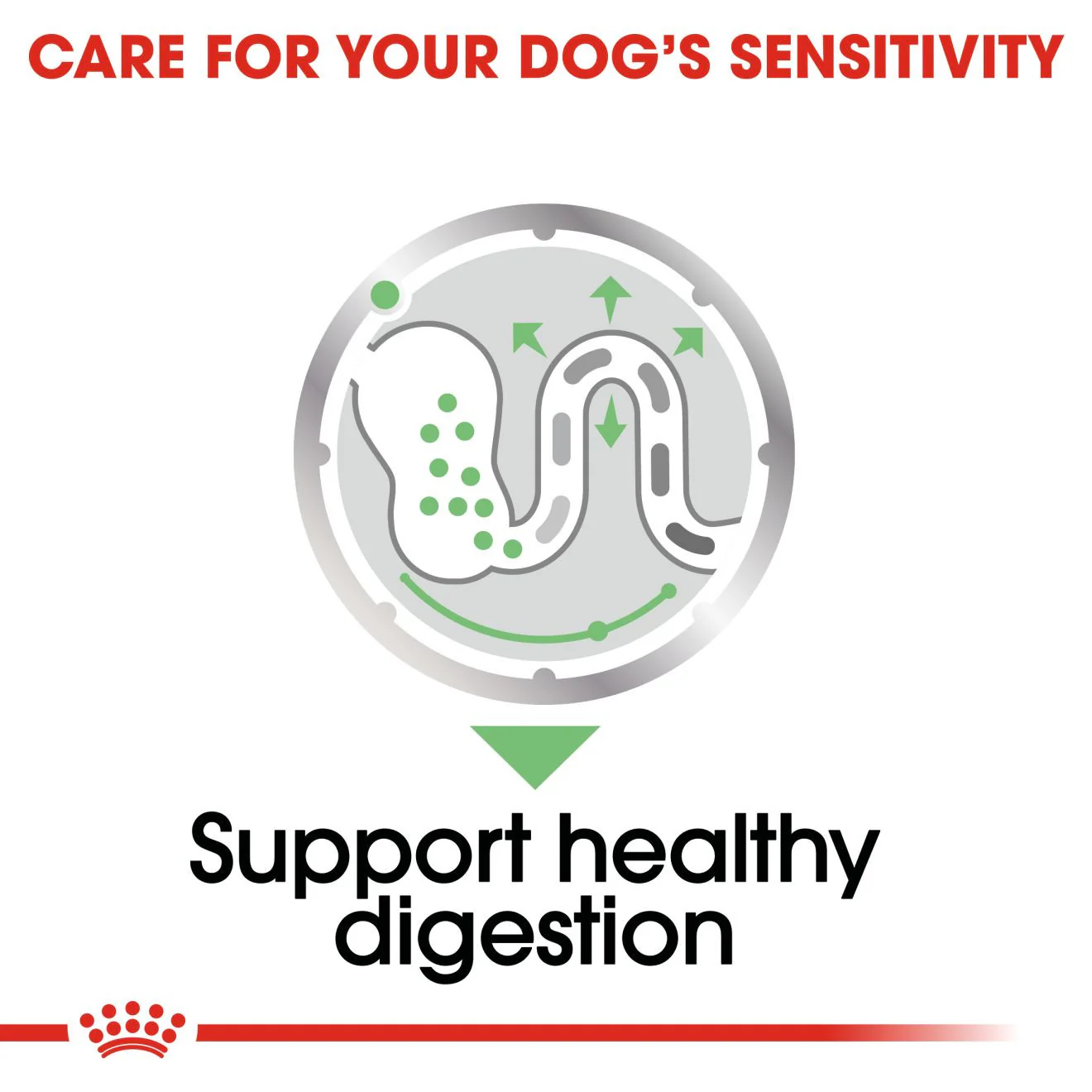 Royal Canin Digestive Canine Care Adult Wet Dog Food in Loaf - 12x85g Pouches - Image 6