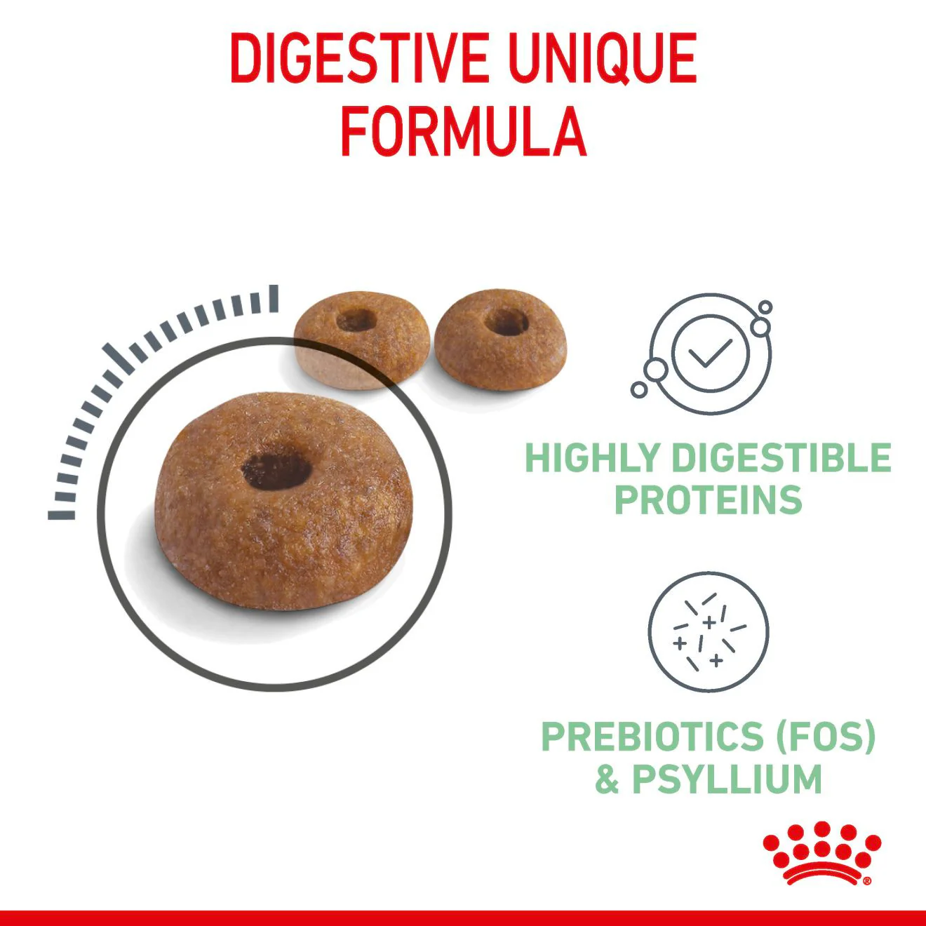 ROYAL CANIN Digestive Care Adult Dry Cat Food - Image 5
