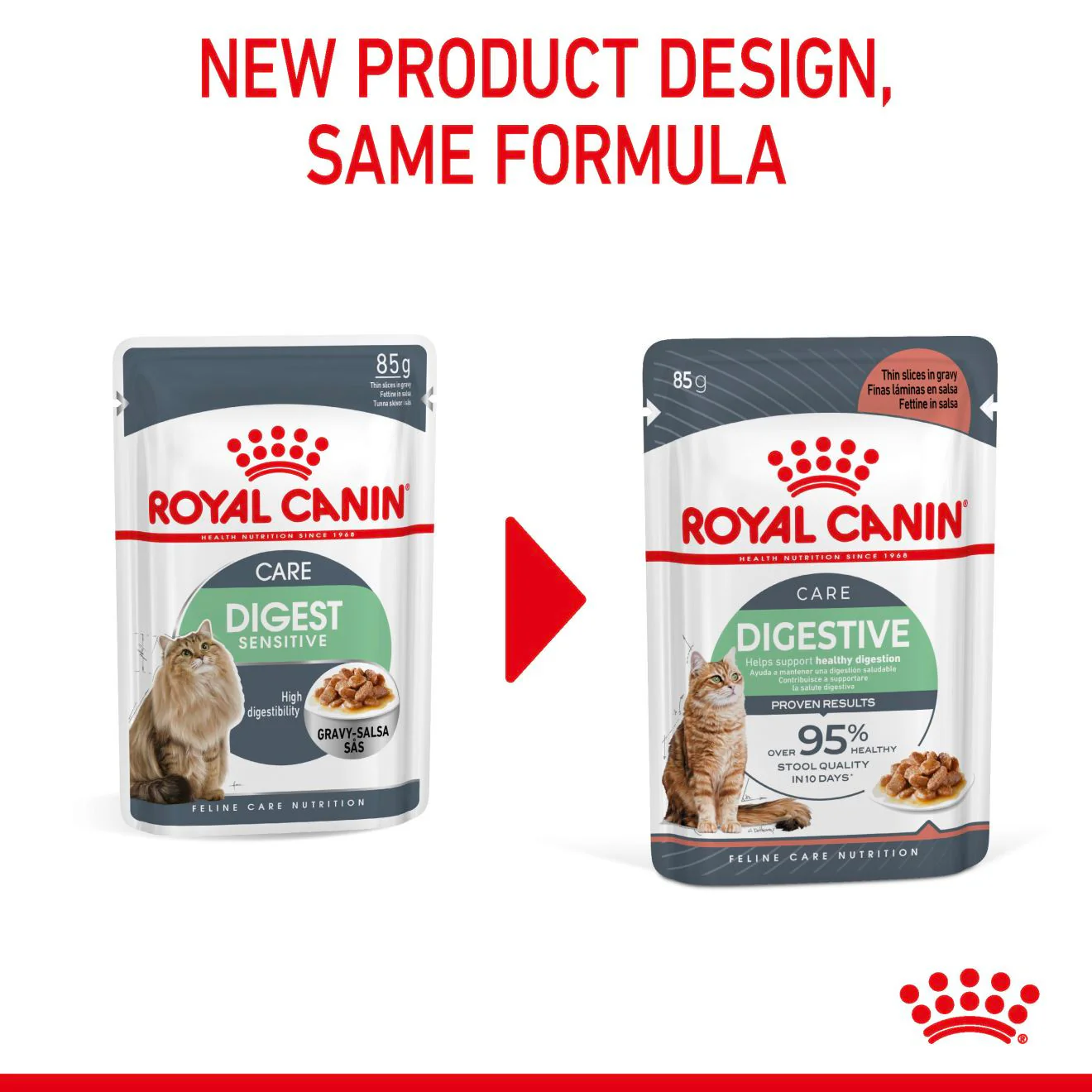 ROYAL CANIN Digestive Care Adult Wet Cat Food in Gravy - 12x85g Pouches - Image 13