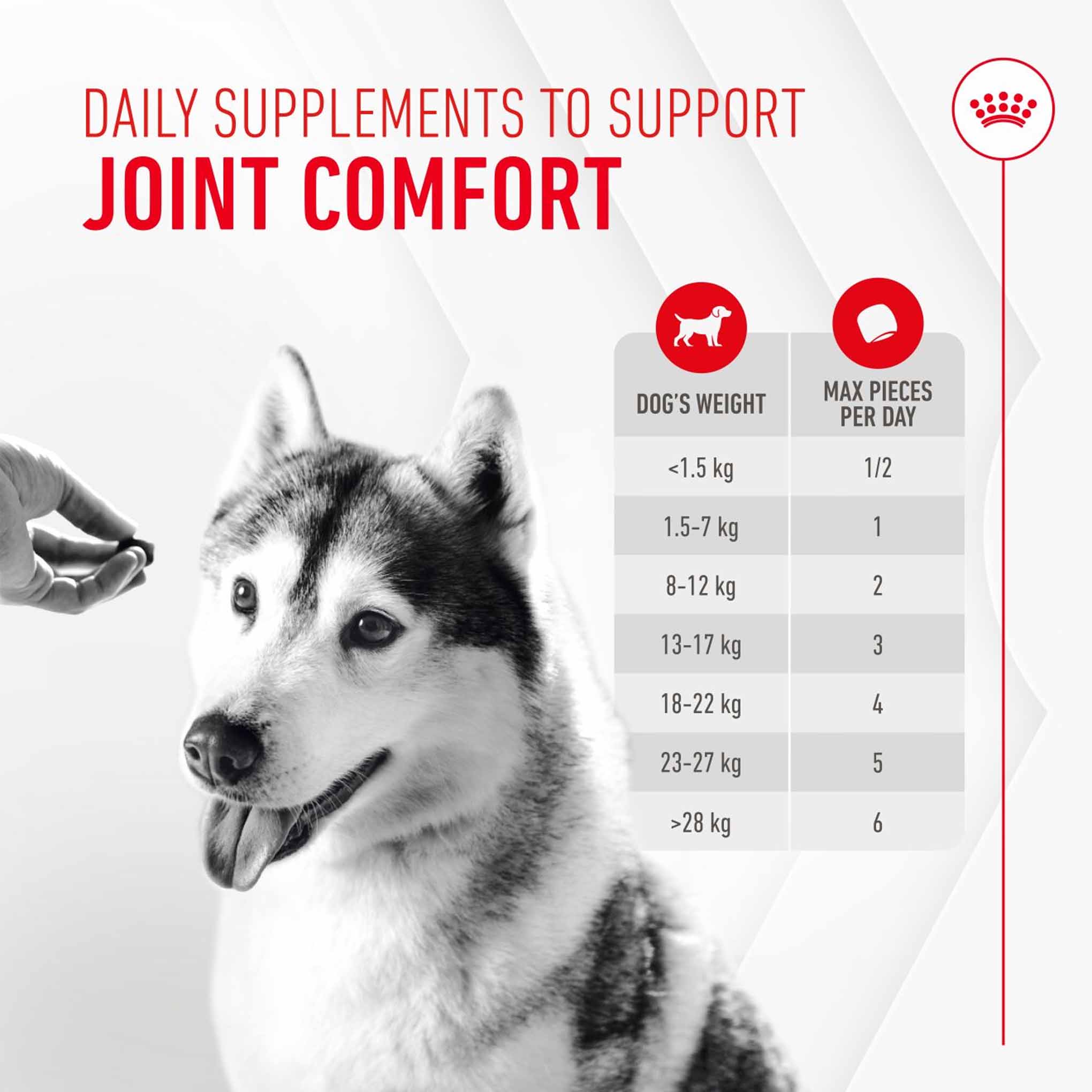 Royal Canin Dog Supplement for Joint & Ageing Soft Chews - 240g - Image 9