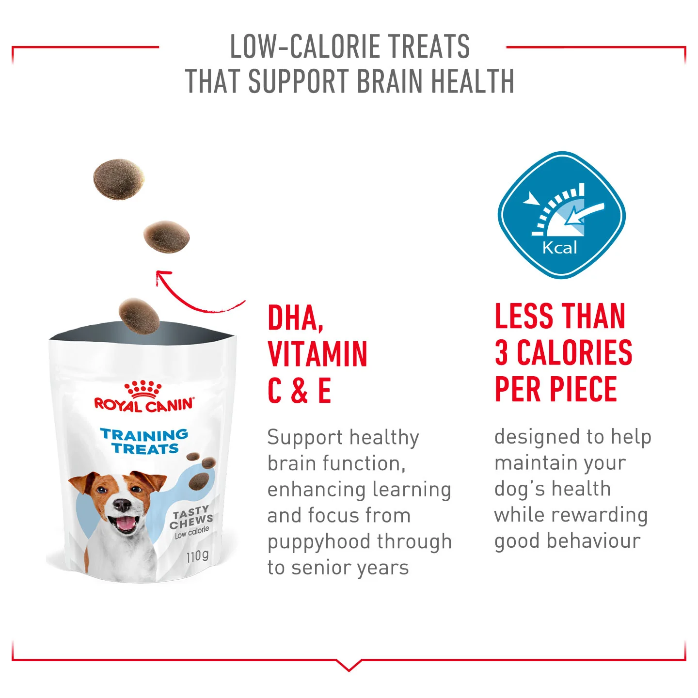 Royal Canin Dog Treats for Training - 110g - Image 10