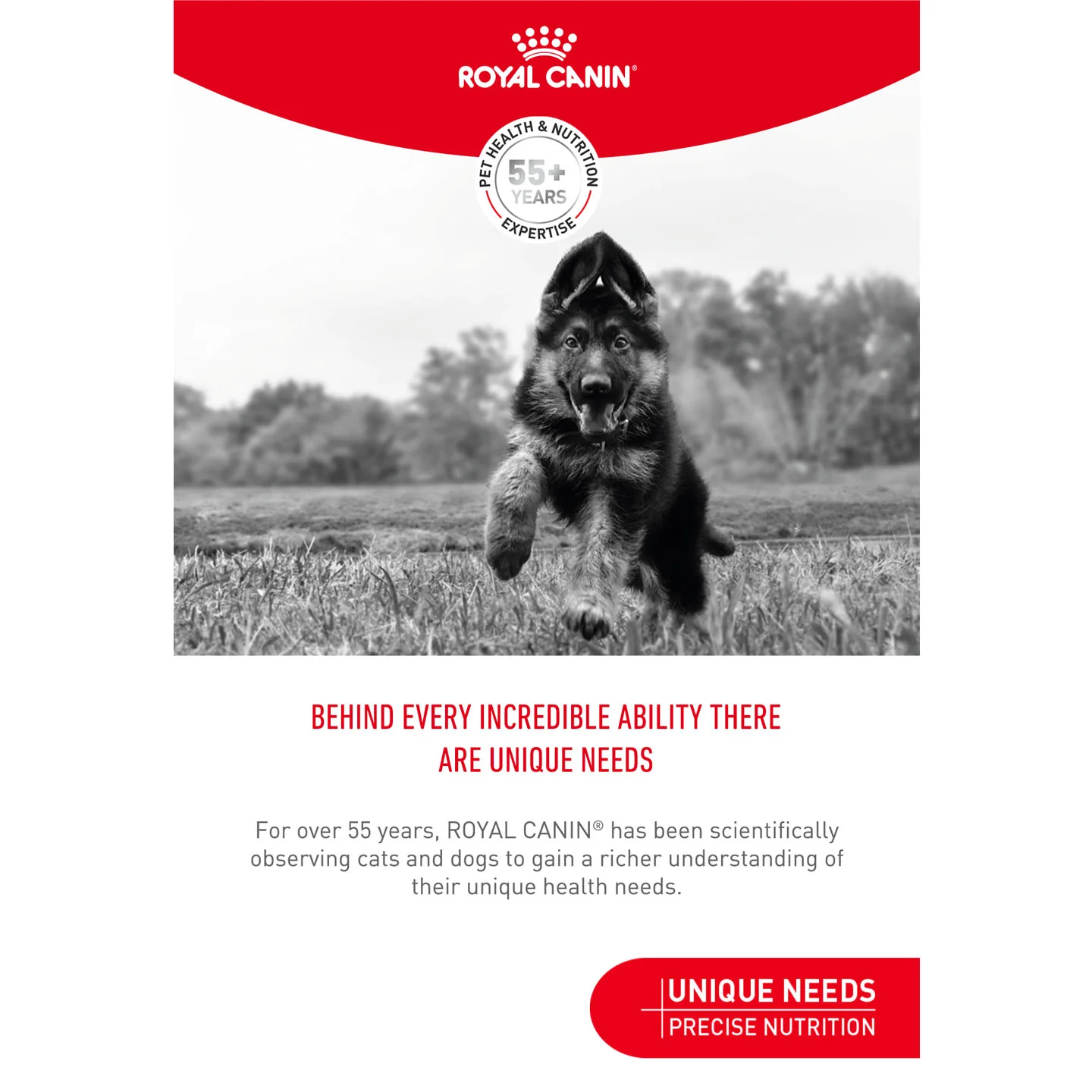 Royal Canin Dog Treats for Training - 110g - Image 14