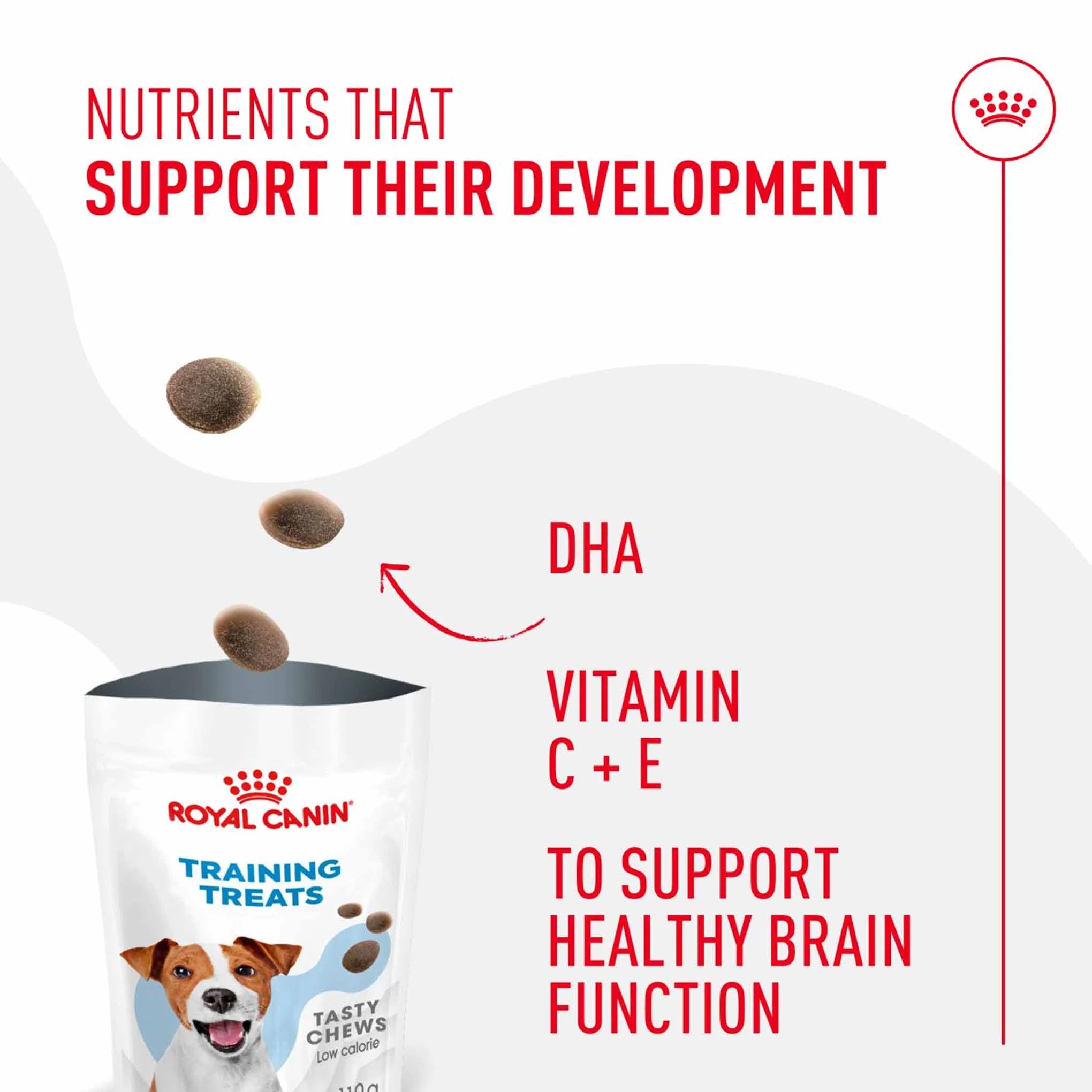 Royal Canin Dog Treats for Training - 110g - Image 4
