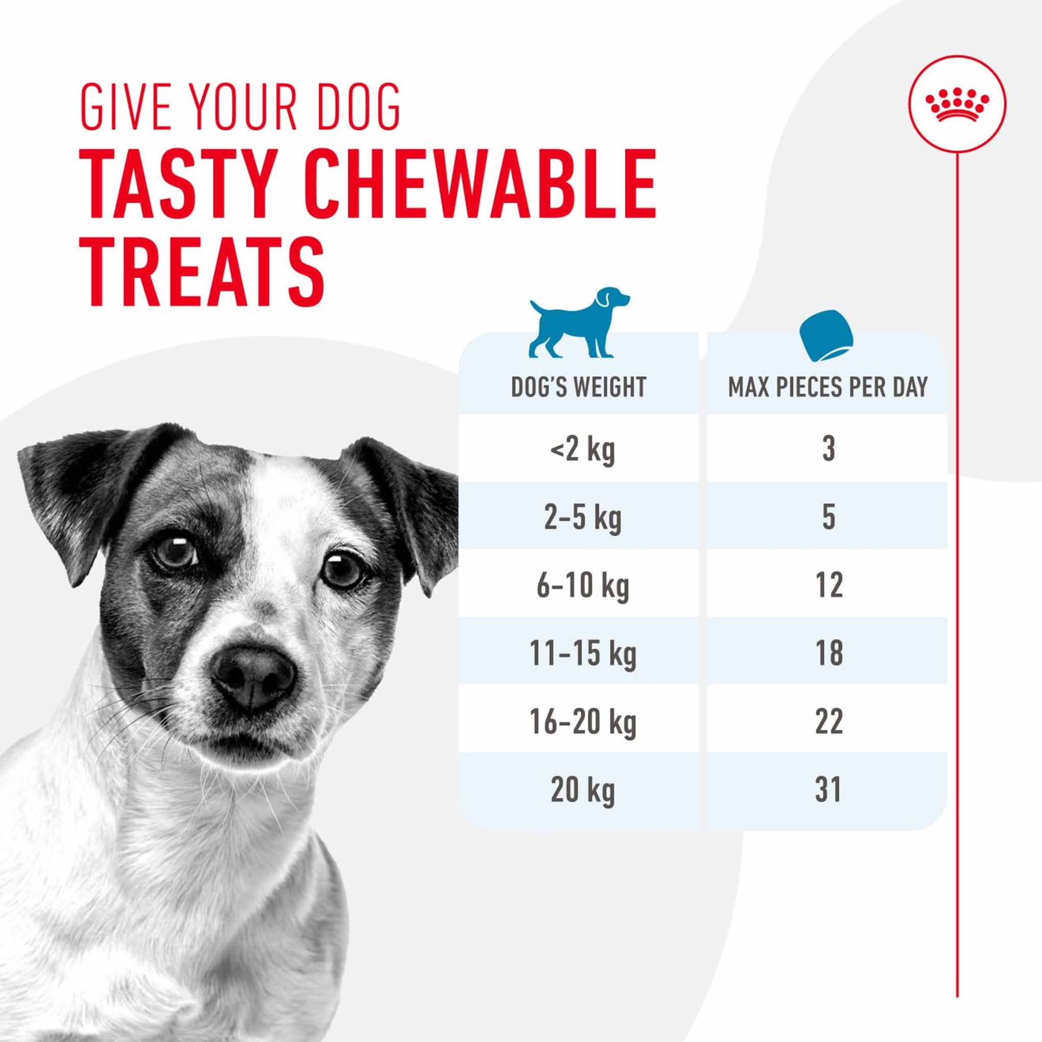 Royal Canin Dog Treats for Training - 110g - Image 8