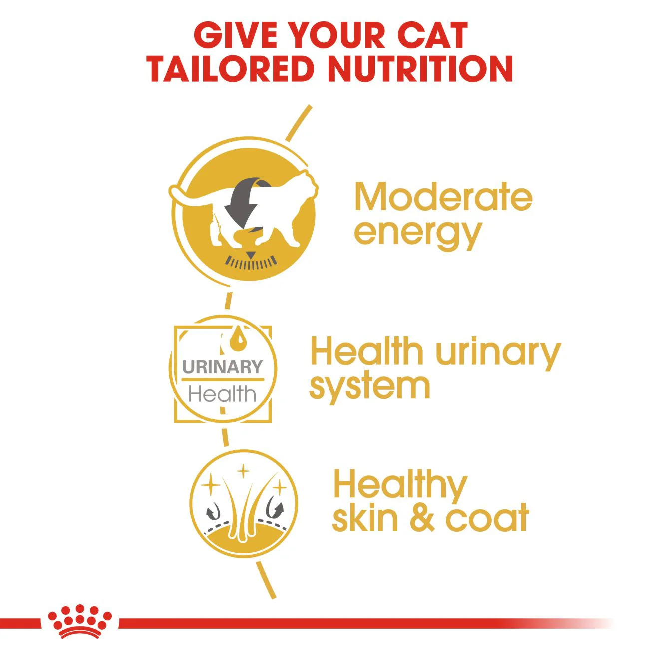 ROYAL CANIN Feline Breed Nutrition British Shorthair Adult Wet Cat Food In Gravy - 12 x 85g Pouch - Image 6