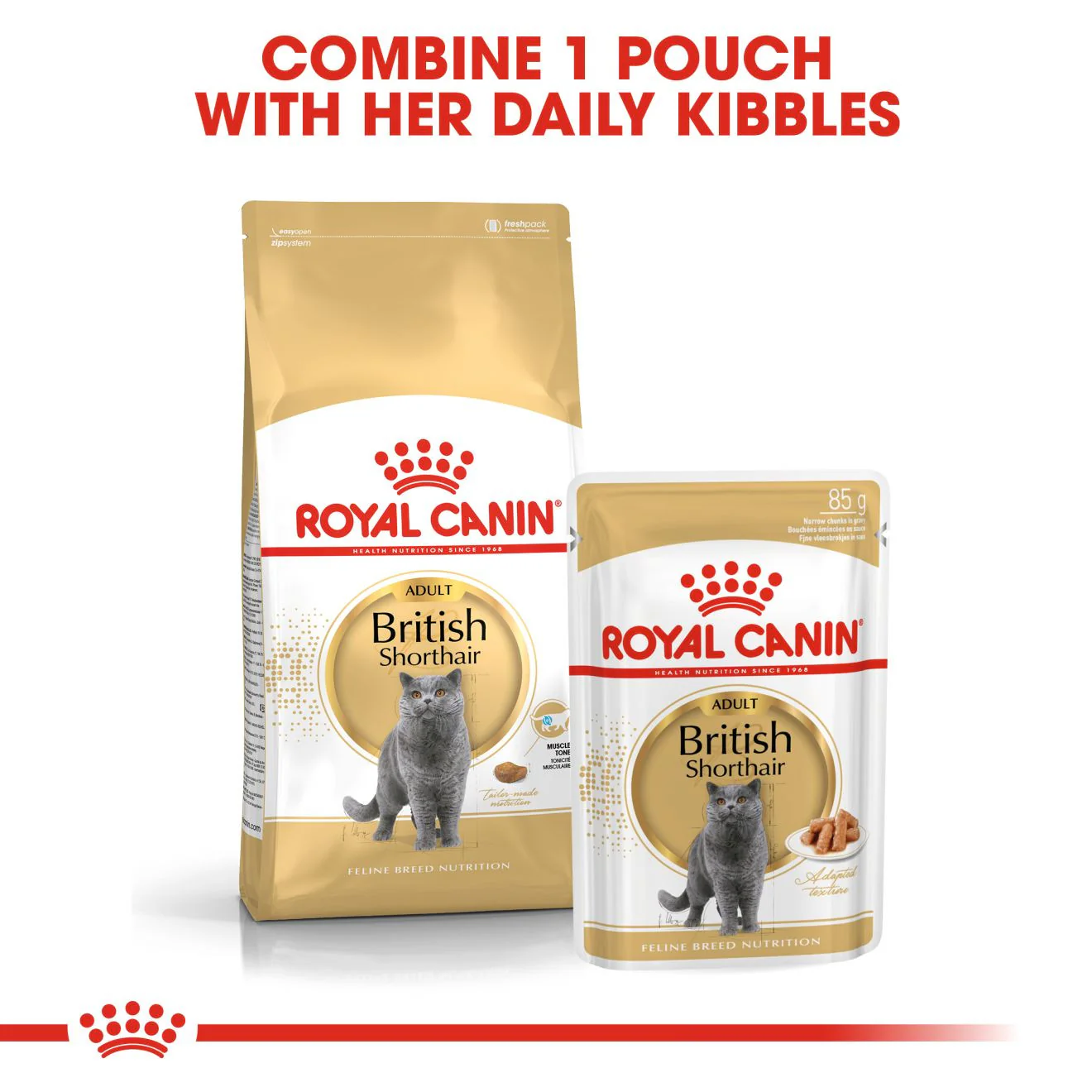 ROYAL CANIN Feline Breed Nutrition British Shorthair Adult Wet Cat Food In Gravy - 12 x 85g Pouch - Image 7