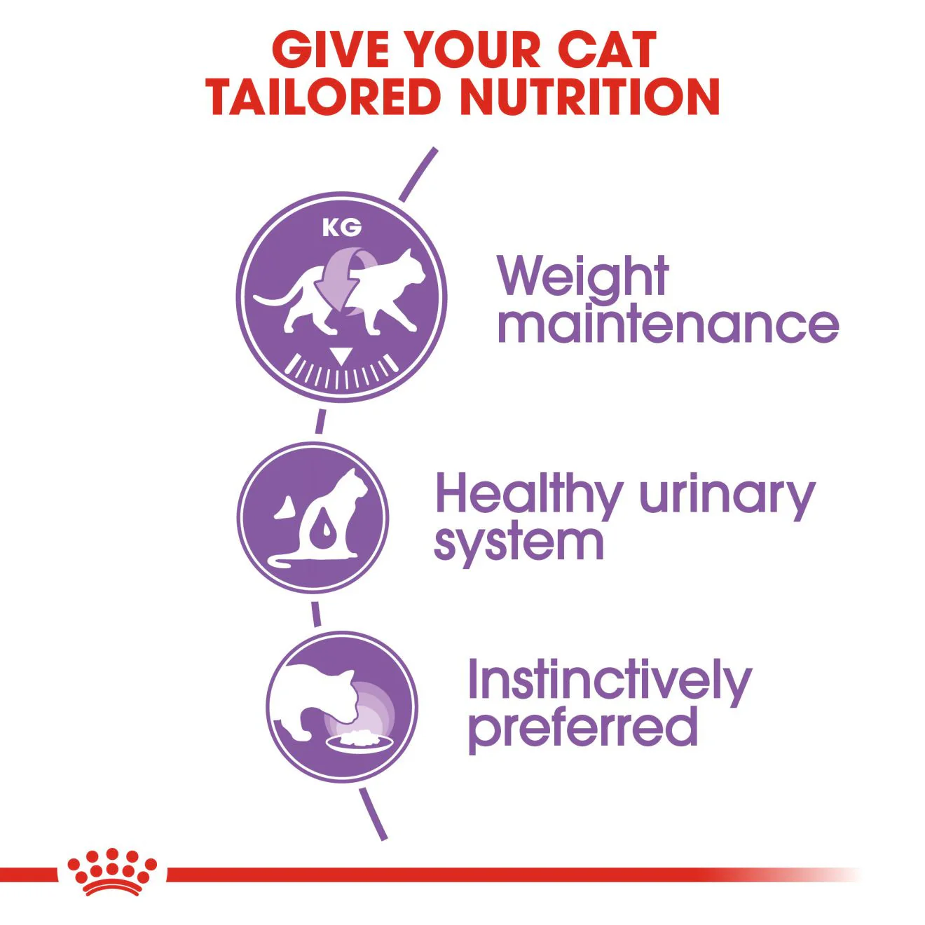 ROYAL CANIN Feline Care Nutrition Sterilised Adult In Jelly Wet Cat Food - 12 x 85g Pouch - Image 5