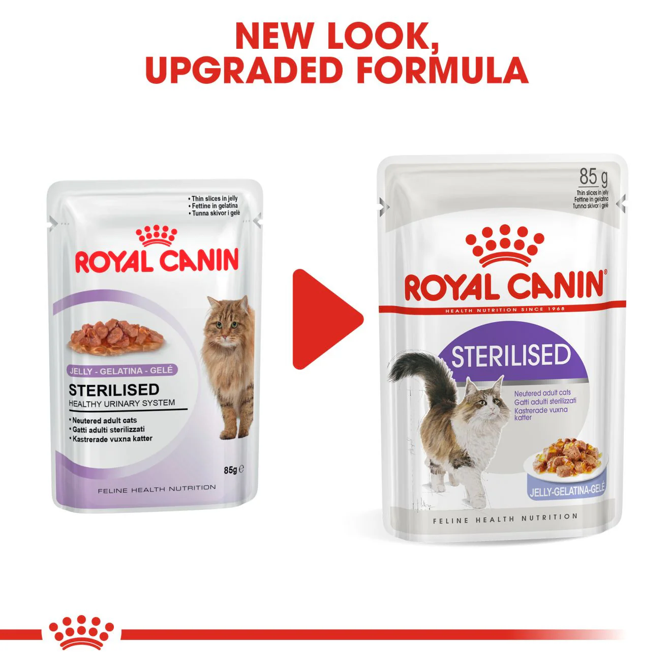 ROYAL CANIN Feline Care Nutrition Sterilised Adult In Jelly Wet Cat Food - 12 x 85g Pouch - Image 8