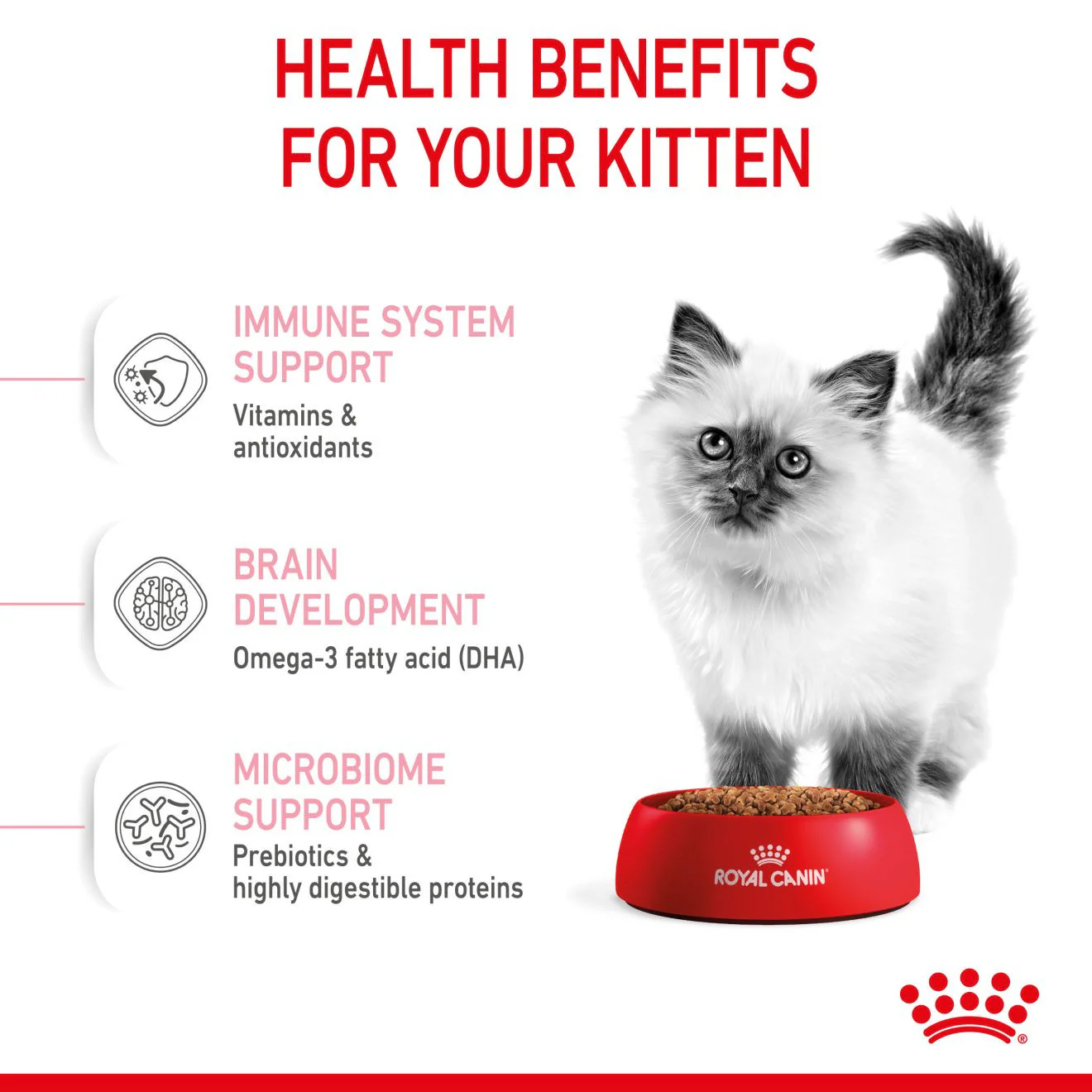 Royal Canin Feline Health Nutrition Dry Kitten Food - Image 3