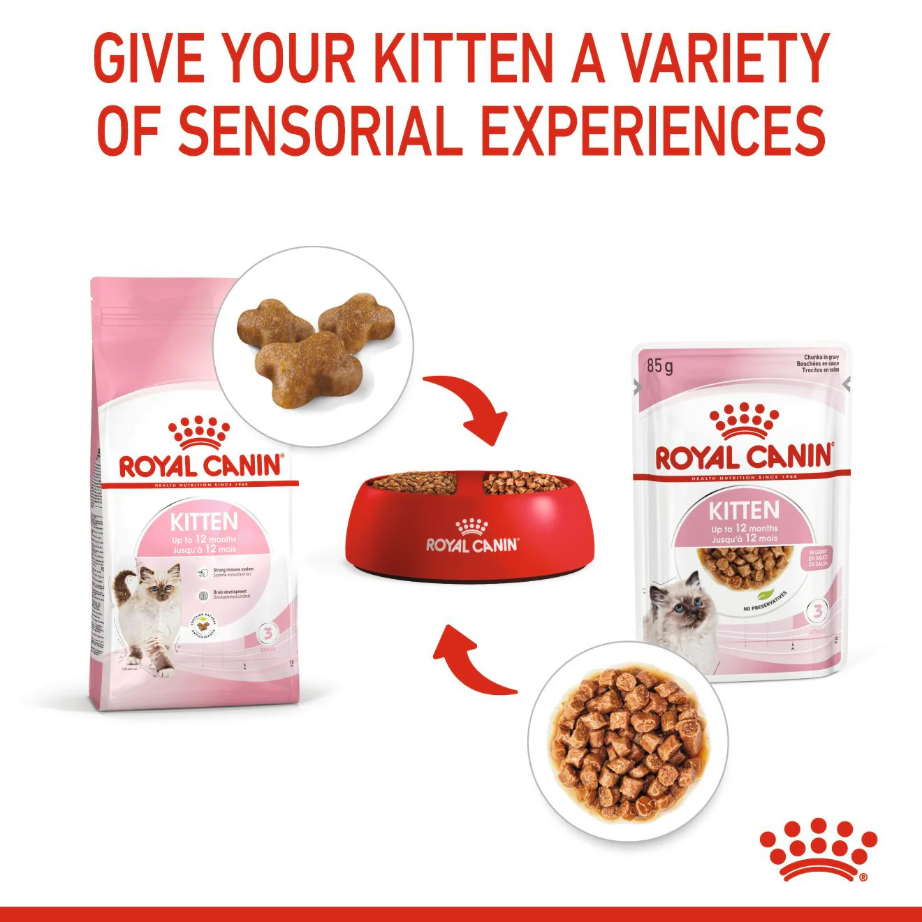 Royal Canin Feline Health Nutrition Dry Kitten Food - Image 4