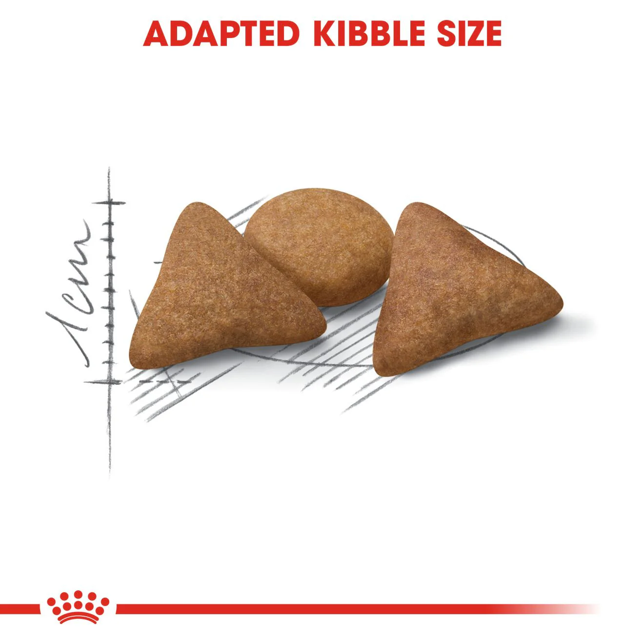 ROYAL CANIN Feline Health Nutrition Indoor Appetite Control Adult Dry Cat Food - Image 4
