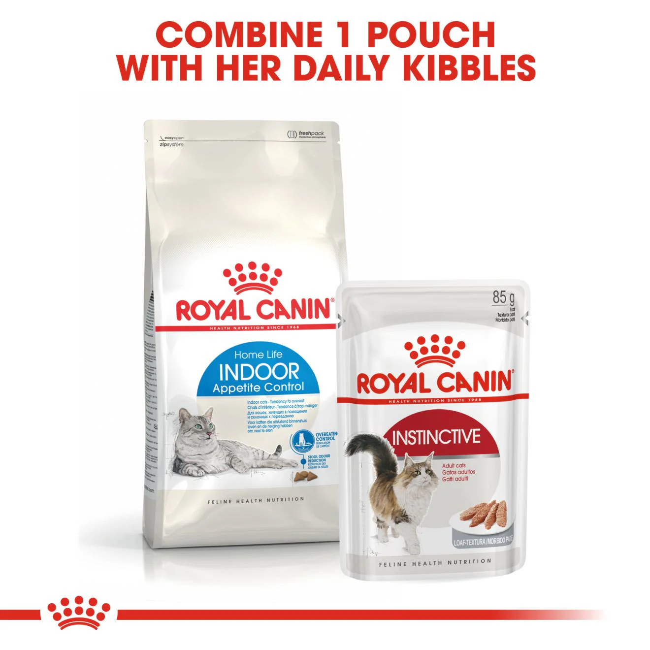 ROYAL CANIN Feline Health Nutrition Indoor Appetite Control Adult Dry Cat Food - Image 6