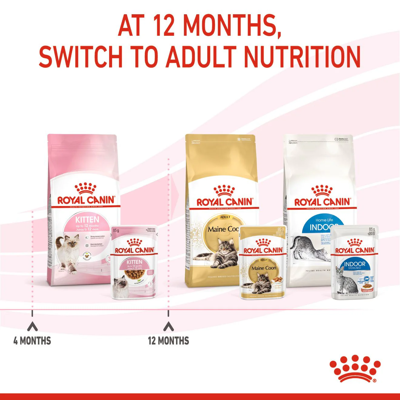 Royal Canin Feline Health Nutrition Kitten Dry Cat Food - Image 5