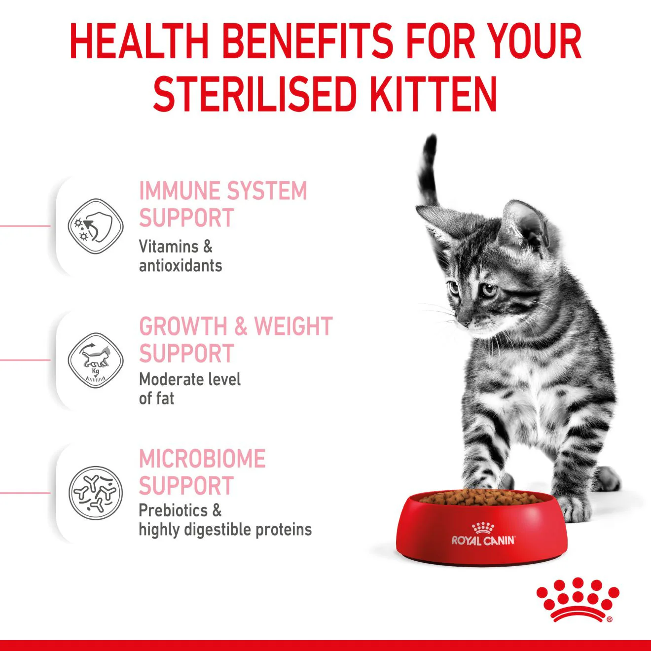 Royal Canin Feline Health Nutrition Kitten Sterilised Dry Food - Image 4