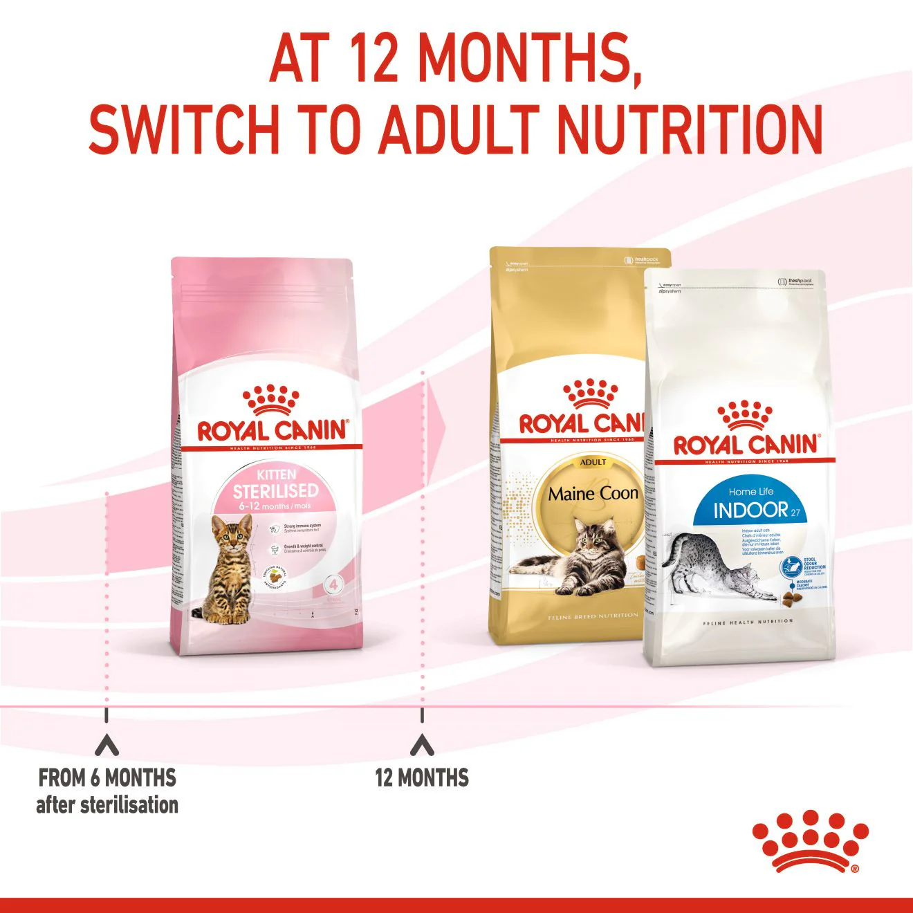 Royal Canin Feline Health Nutrition Kitten Sterilised Dry Food - Image 5