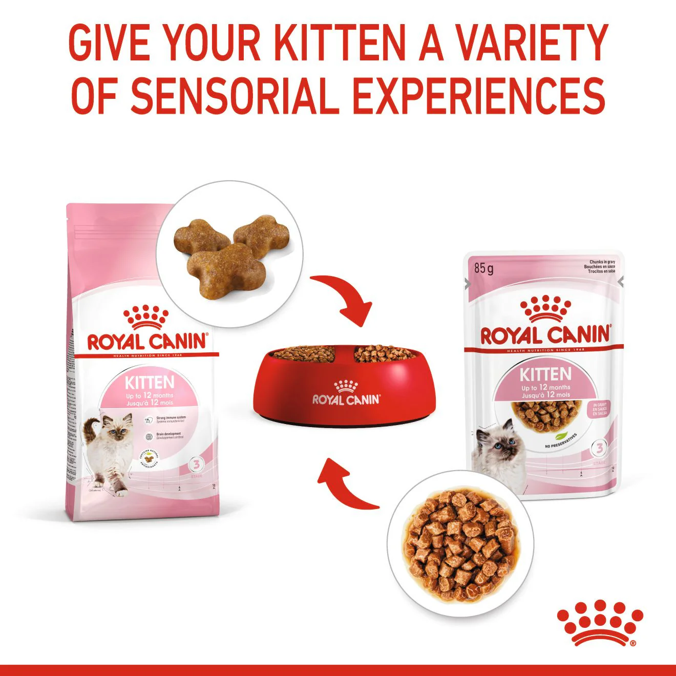 Royal Canin Feline Health Nutrition Kitten Wet Cat Food in Gravy - BULKPACK - 48x85g Pouches - Image 6