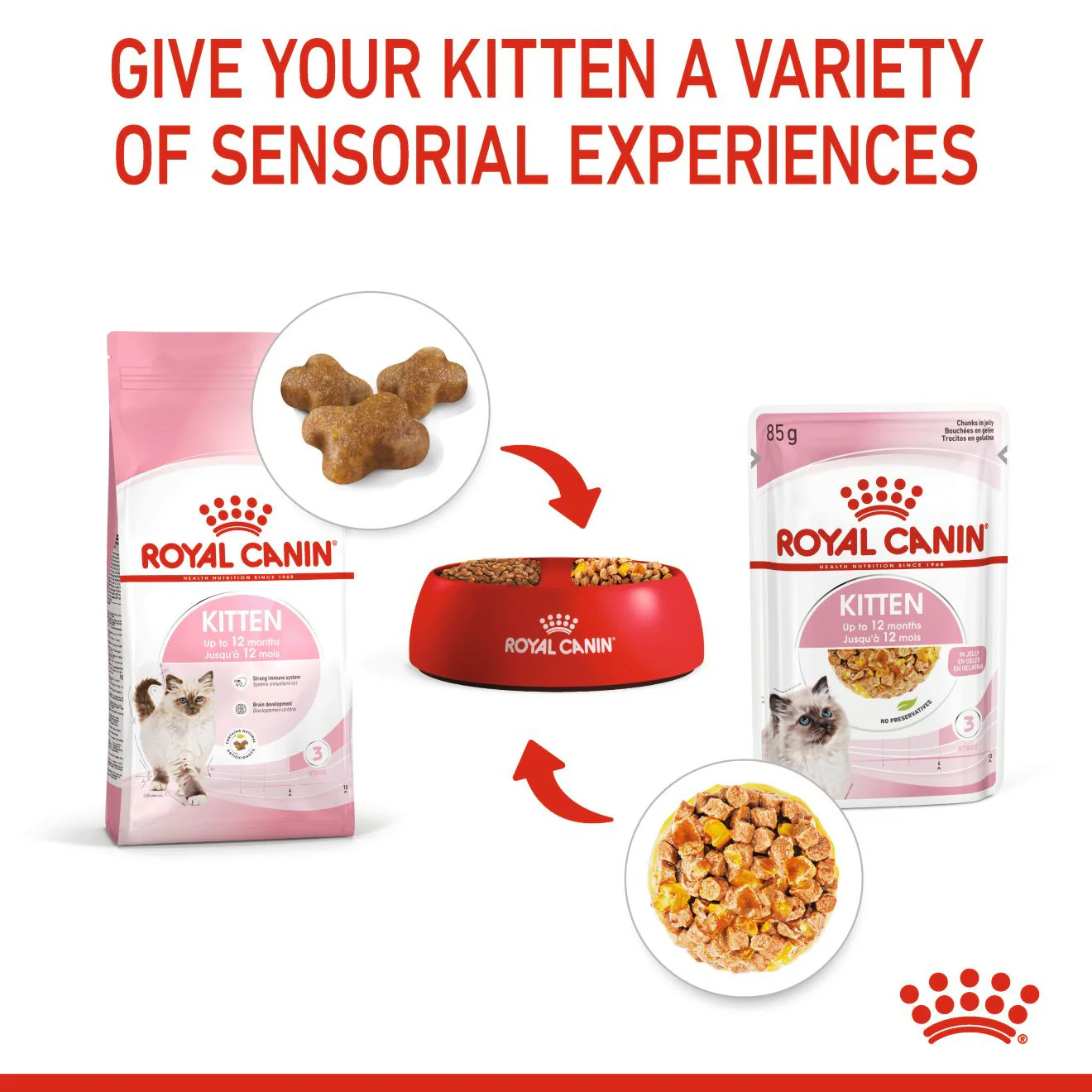 ROYAL CANIN Feline Health Nutrition Kitten Wet Cat Food in Jelly - BULKPACK - 48x85g Pouches - Image 2