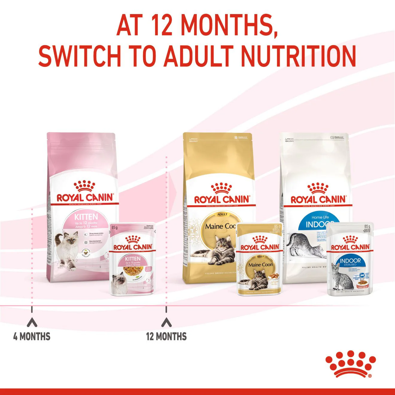 ROYAL CANIN Feline Health Nutrition Kitten Wet Cat Food in Jelly - BULKPACK - 48x85g Pouches - Image 6