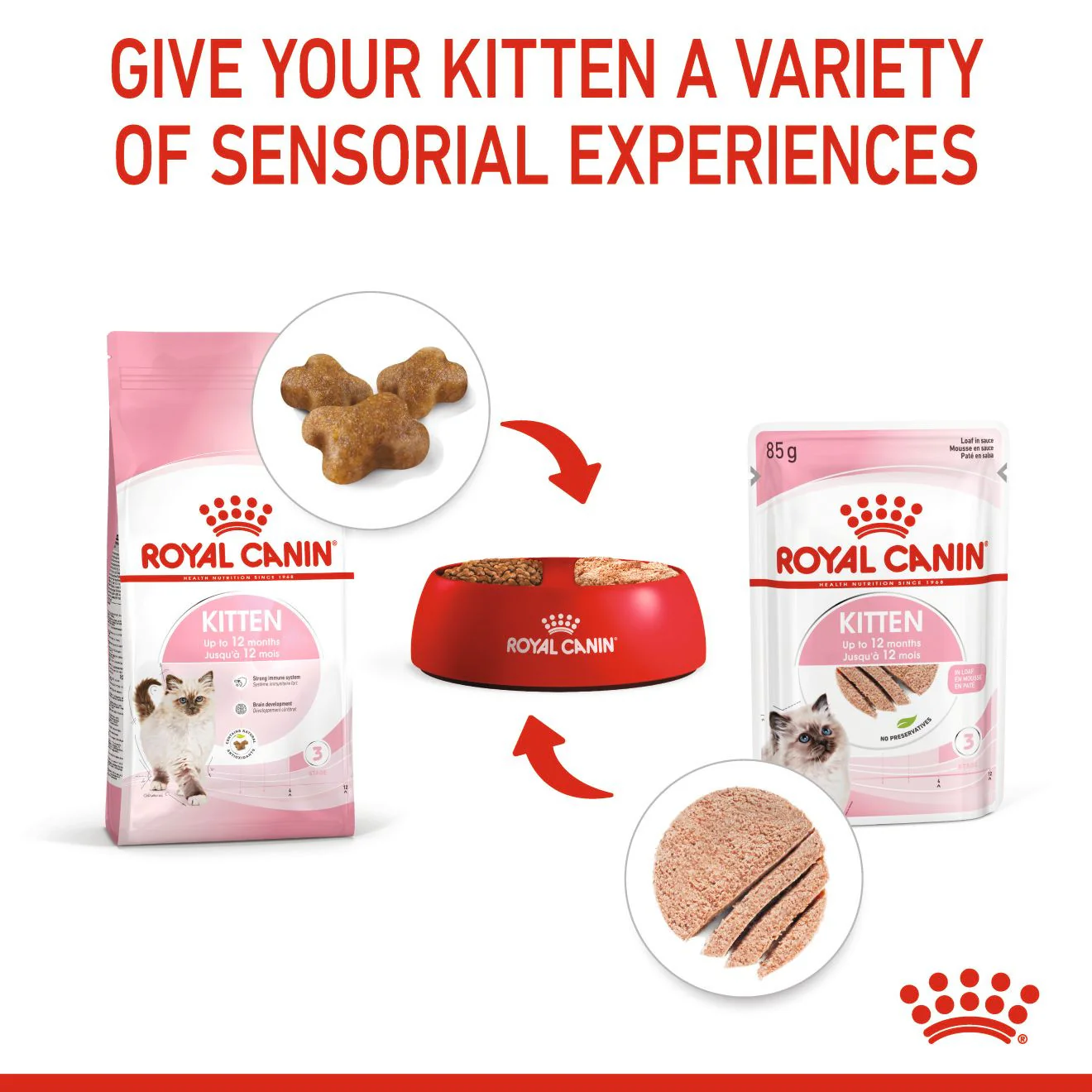 Royal Canin Feline Health Nutrition Kitten Wet Cat Food in Loaf - 12x85g Pouches - Image 5