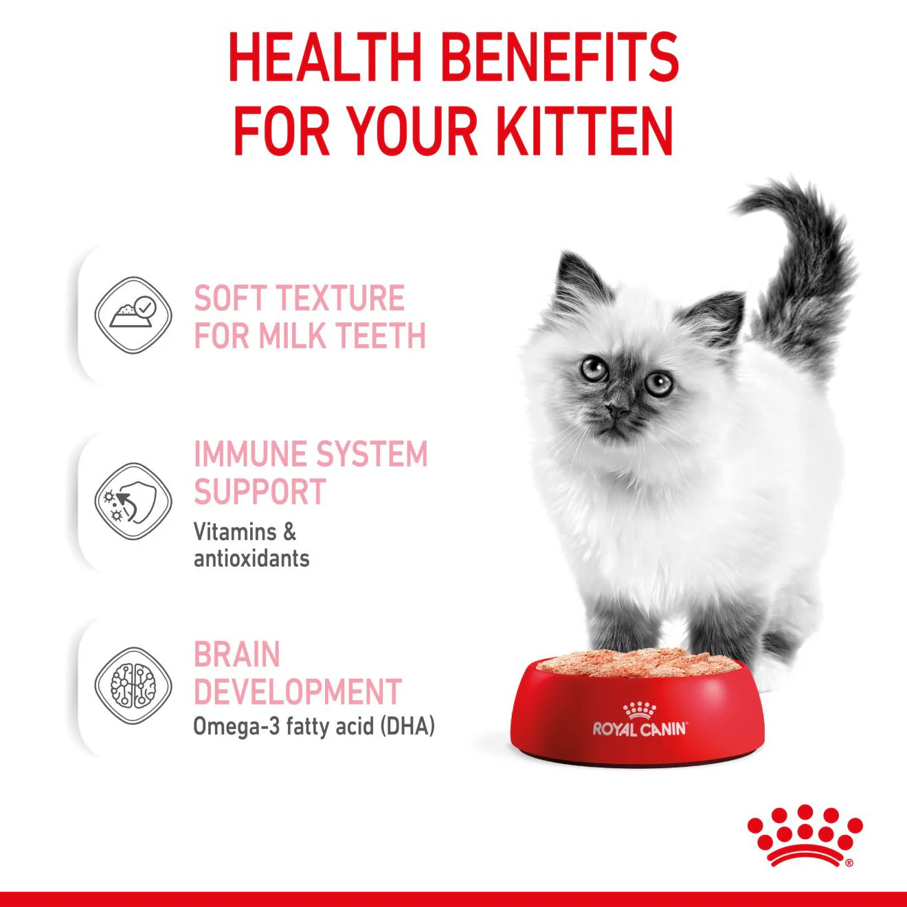 Royal Canin Feline Health Nutrition Kitten Wet Cat Food in Loaf - 12x85g Pouches - Image 6