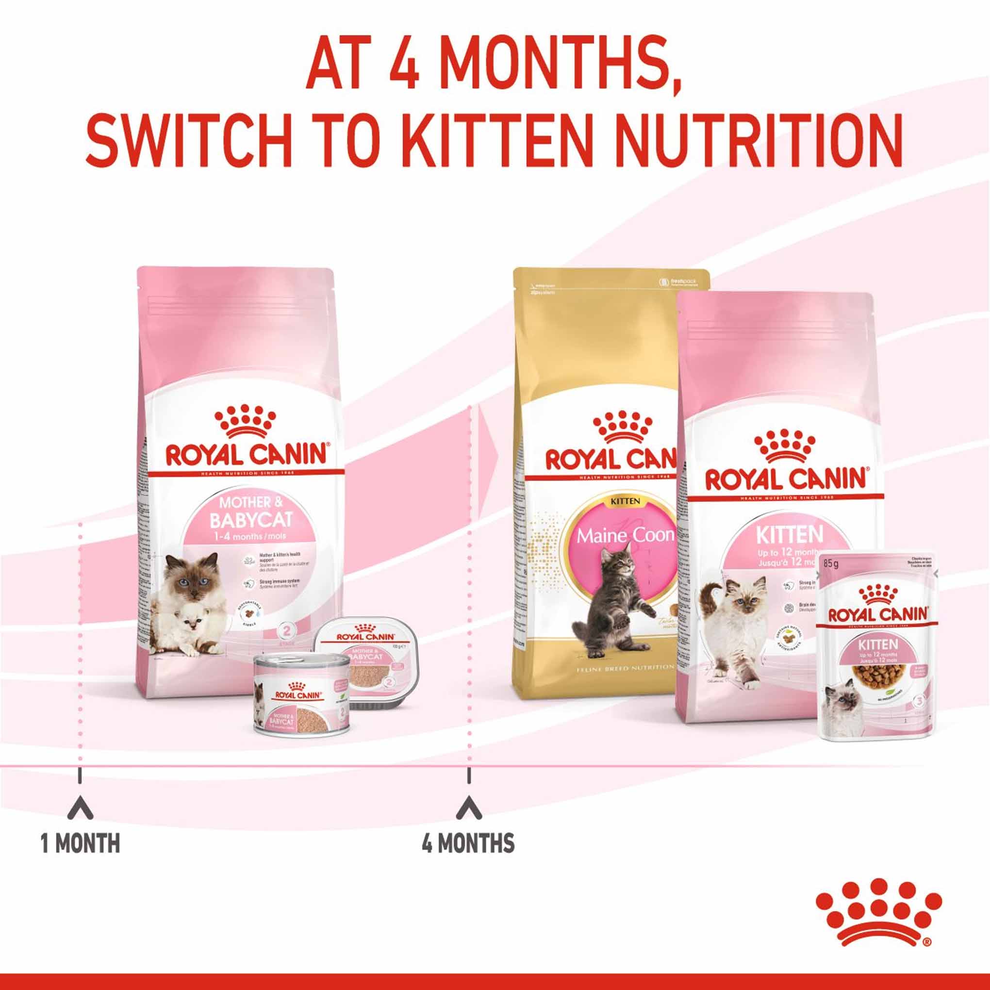 ROYAL CANIN Feline Health Nutrition Mother & Babycat Adult & Kitten Dry Food - Image 5